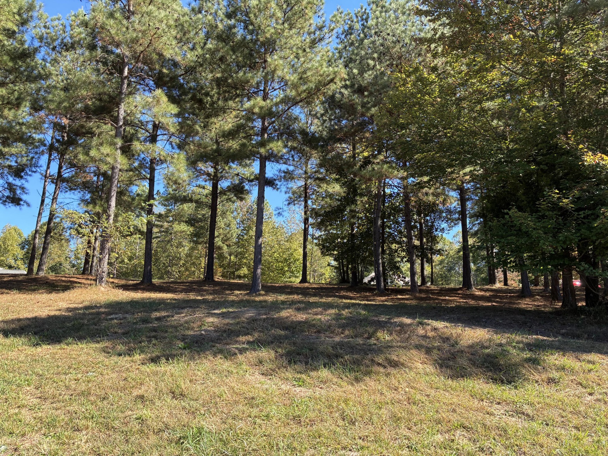 241 Pappy Road Jasper, TN 37347 - Photo 12 of 40 a view of road with trees
