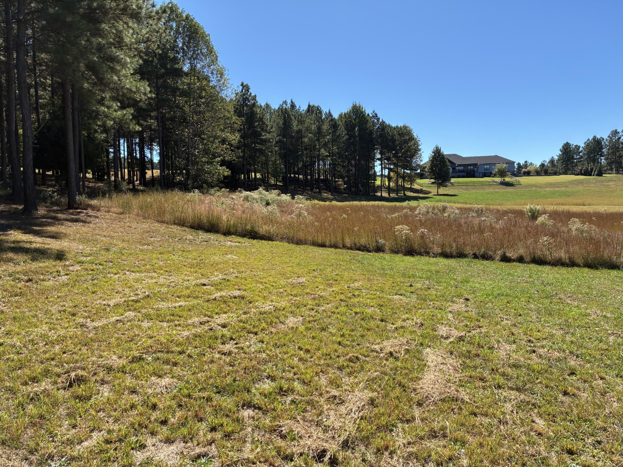 241 Pappy Road Jasper, TN 37347 - Photo 13 of 40 a view of outdoor space with swimming pool and green space