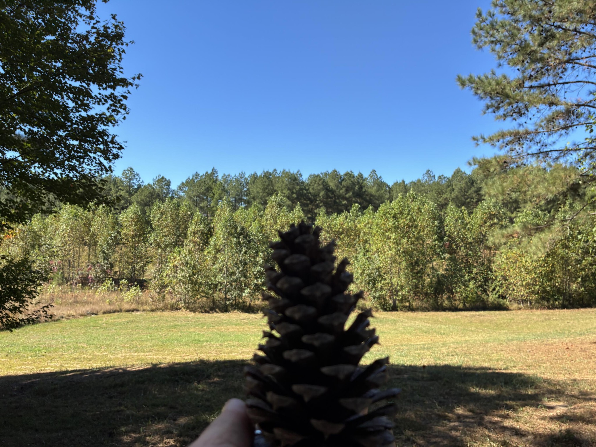 241 Pappy Road Jasper, TN 37347 - Photo 20 of 40 a view of ocean view