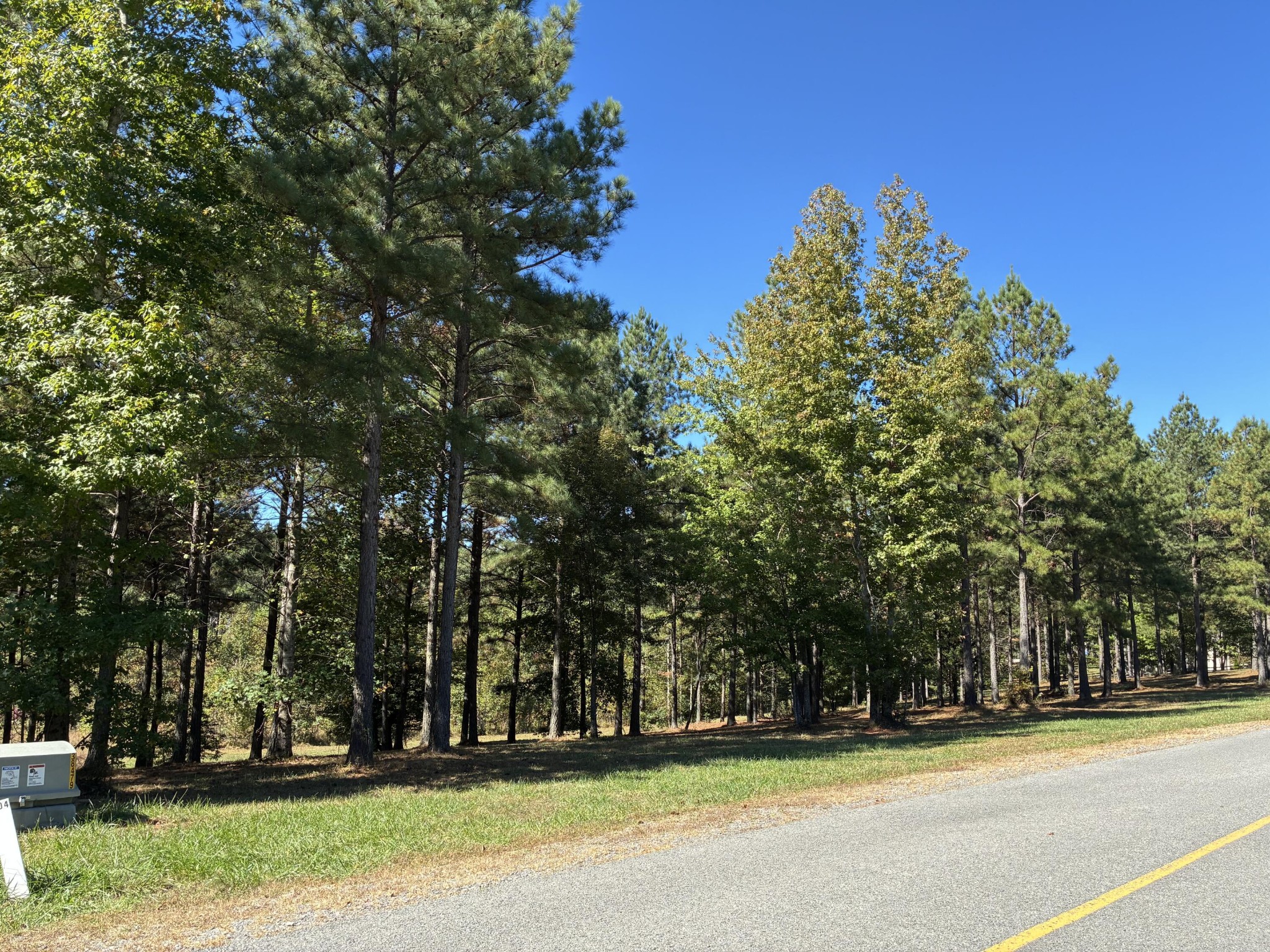 241 Pappy Road Jasper, TN 37347 - Photo 2 of 40 a house with trees in front of it