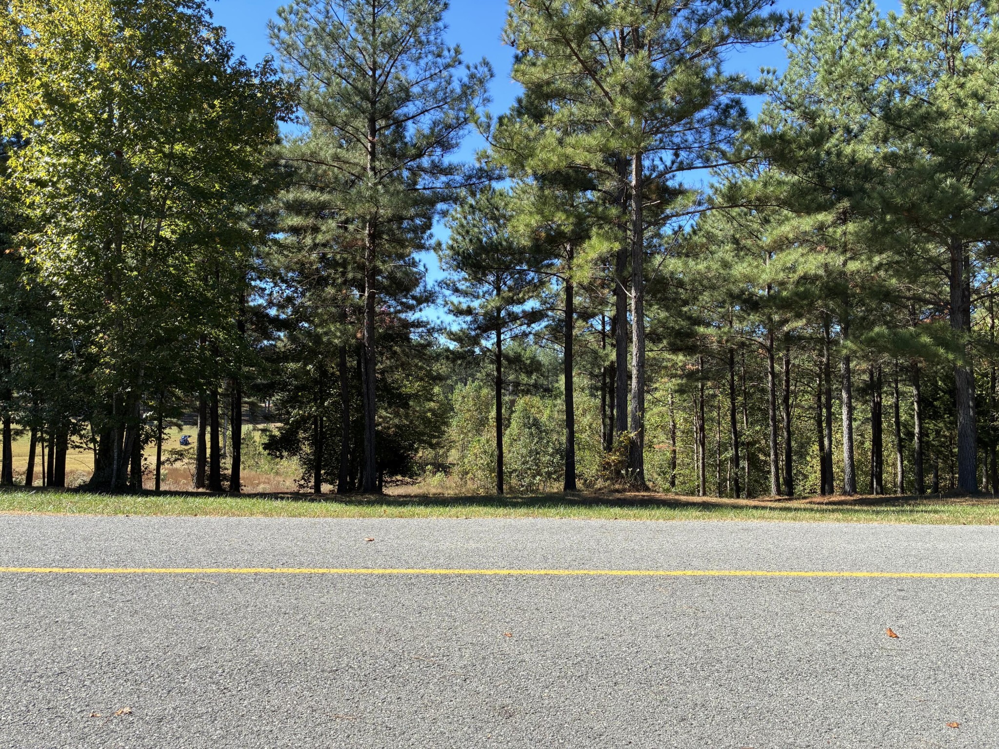 241 Pappy Road Jasper, TN 37347 - Photo 3 of 40 a view of green space