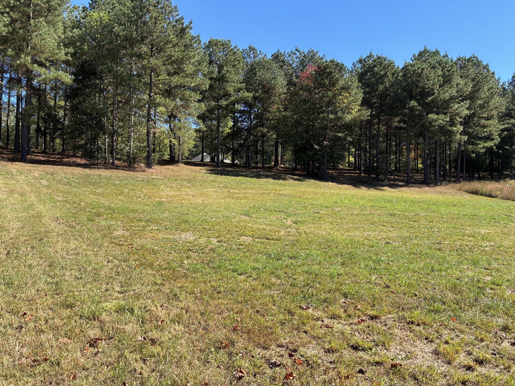241 Pappy Road Jasper, TN 37347 - Photo 9 of 40 a view of swimming pool with trees