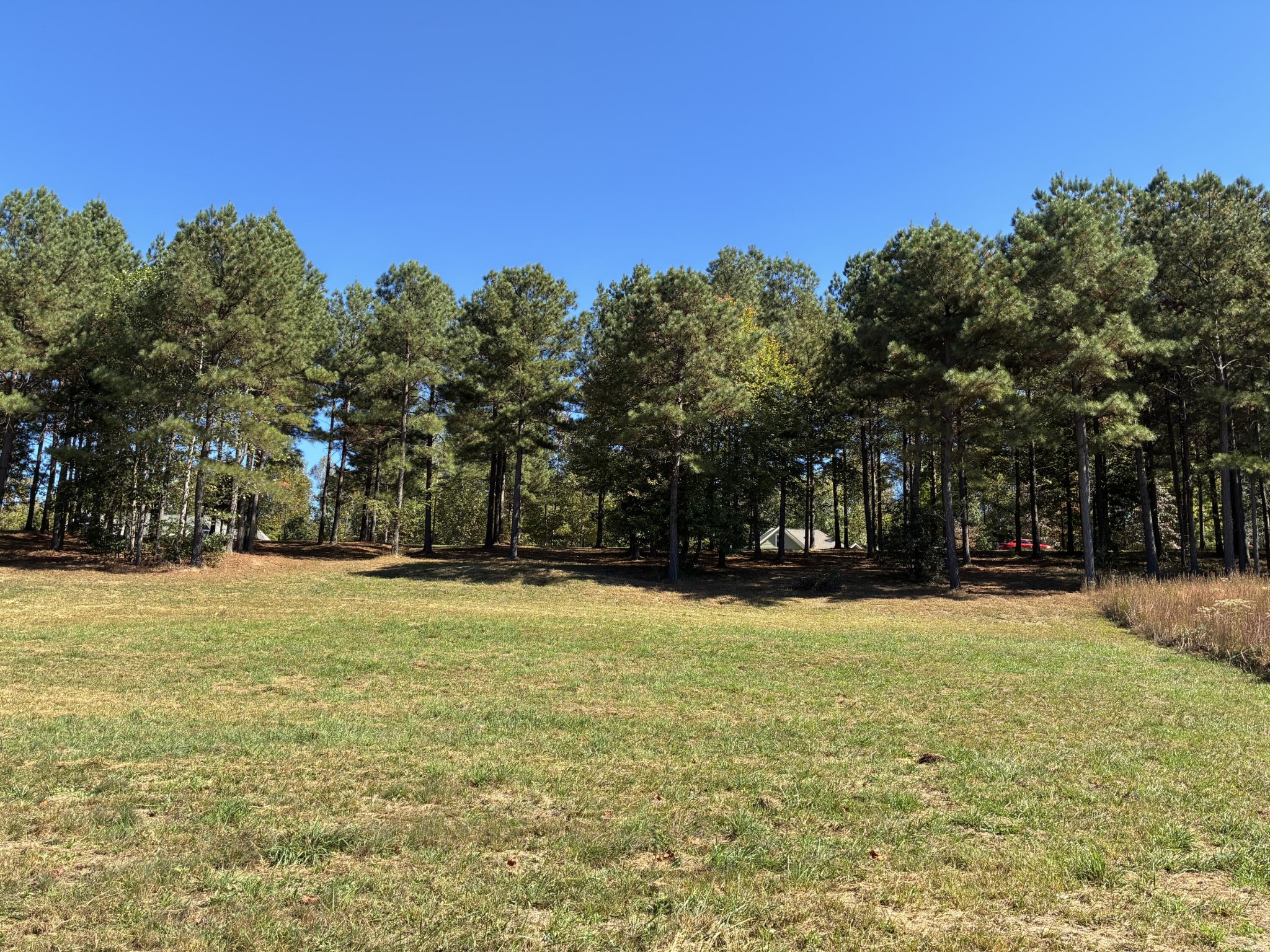 241 Pappy Road Jasper, TN 37347 - Photo 10 of 40 a view of a field with trees in the background
