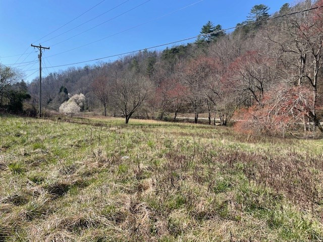 107 Minor Road Marble, NC 28905 - Photo 16 of 40