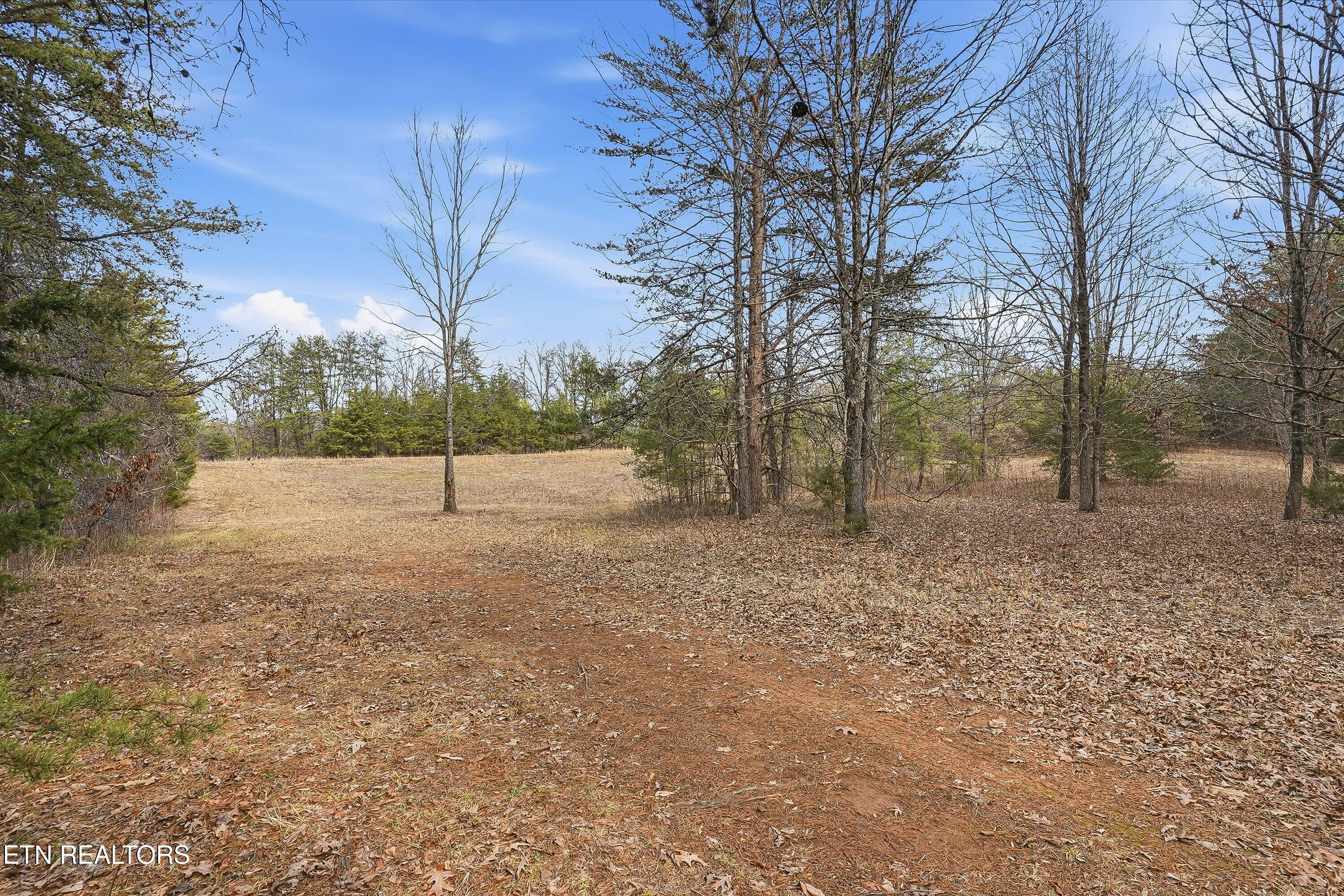 1518 Tom McCall Road Maryville, TN 37801 - Photo 11 of 21 11-1518 Tom McCall Rd-11