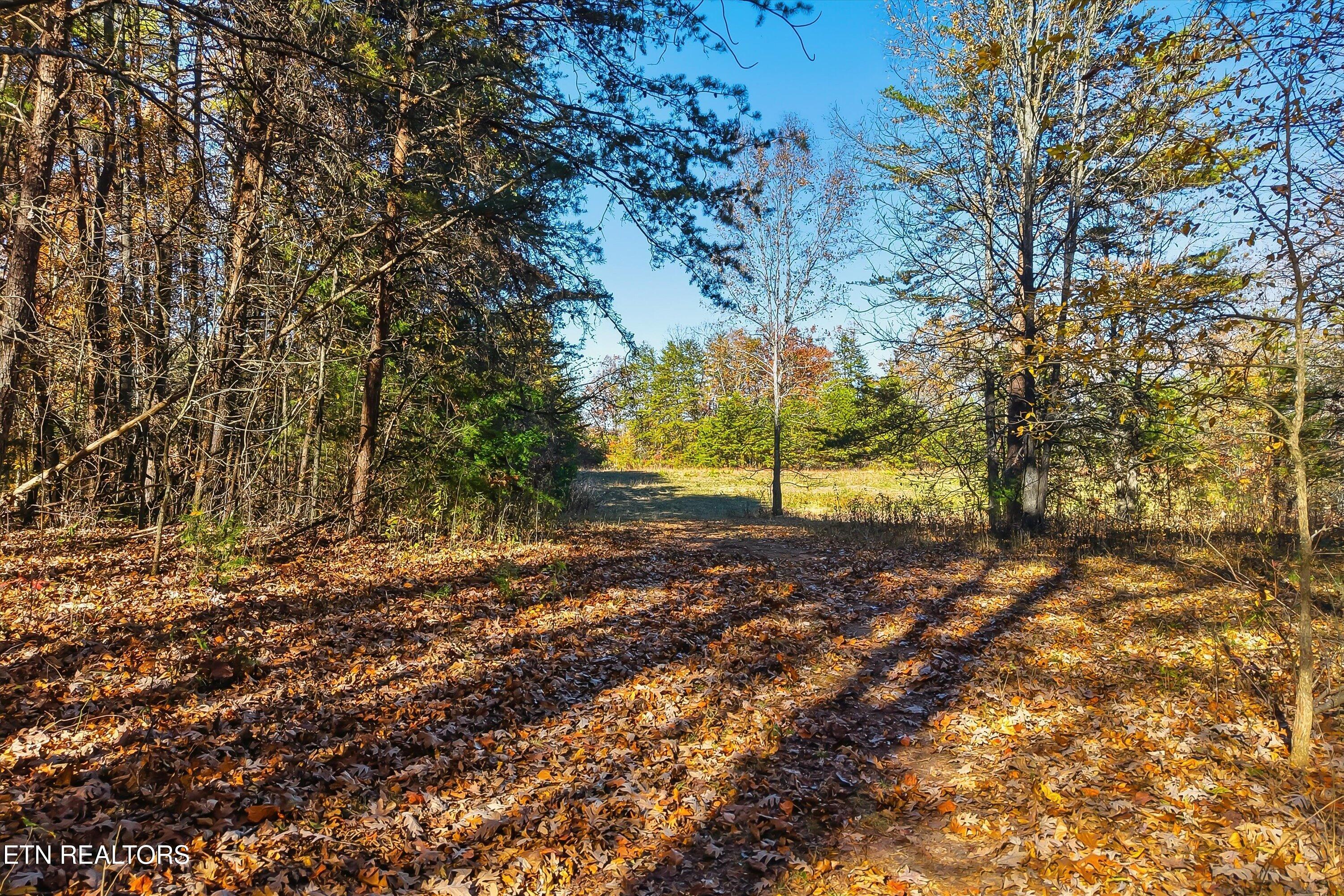 1518 Tom McCall Road Maryville, TN 37801 - Photo 12 of 21 12-1518 Tom McCall Rd-12