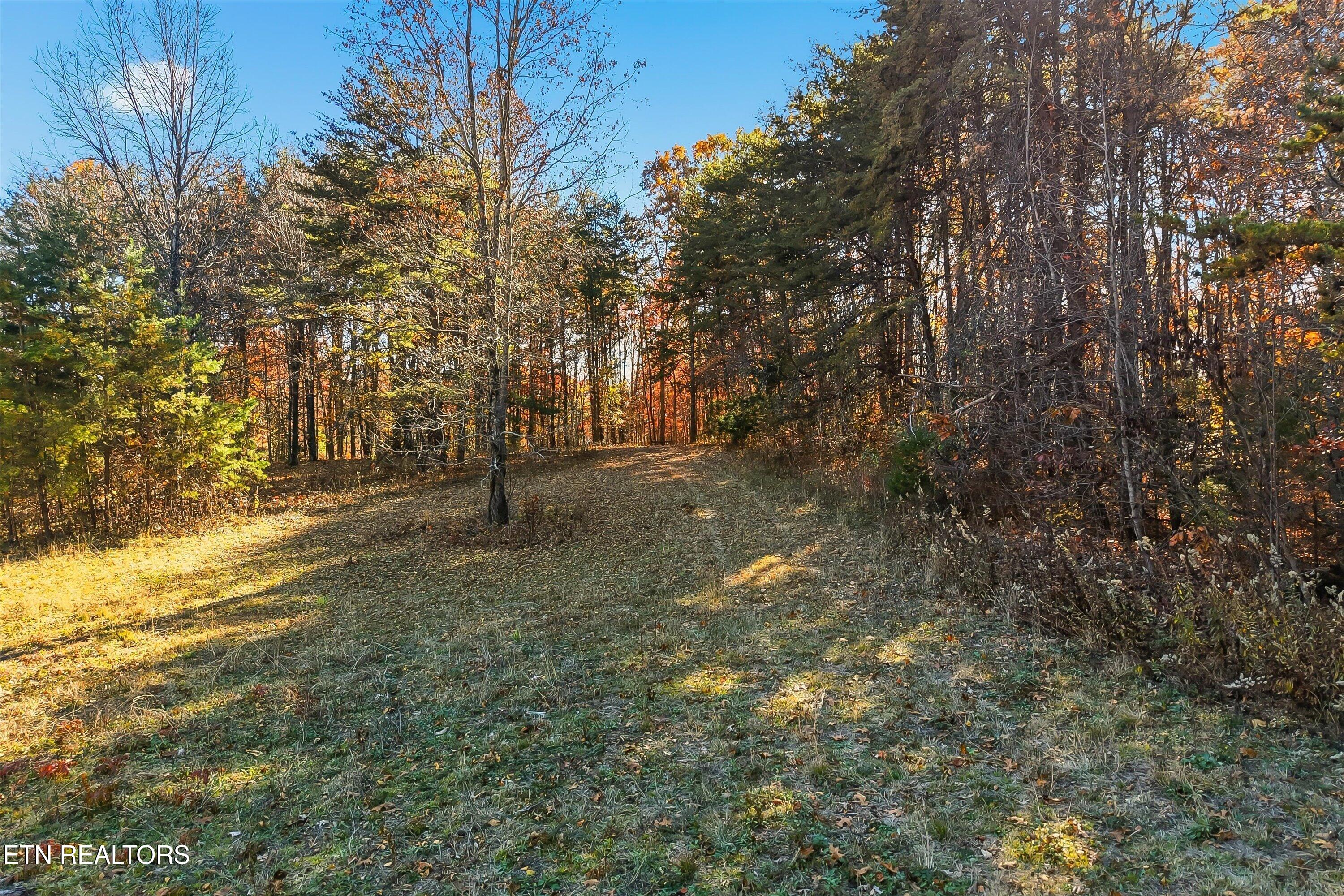 1518 Tom McCall Road Maryville, TN 37801 - Photo 13 of 21 13-1518 Tom McCall Rd-13