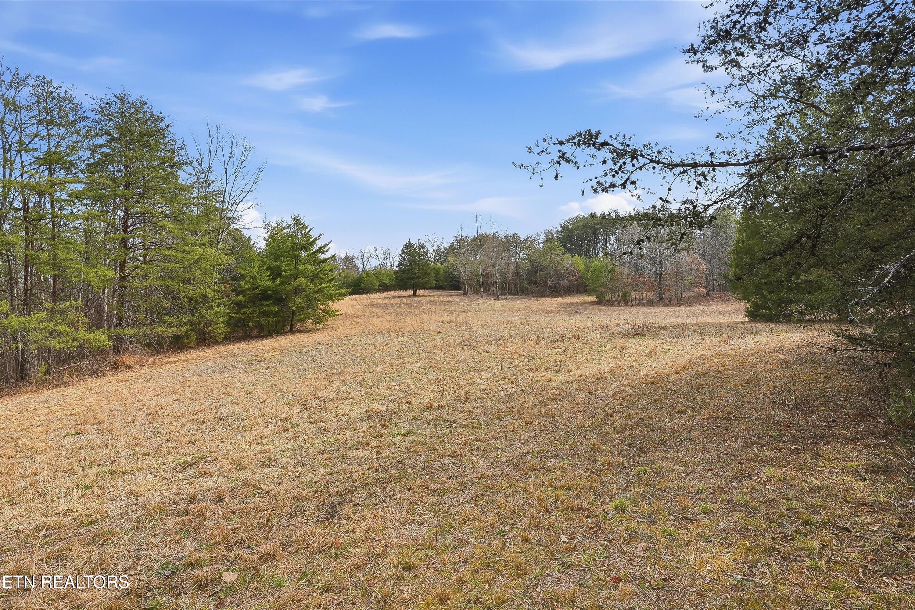 1518 Tom McCall Road Maryville, TN 37801 - Photo 14 of 21 14-1518 Tom McCall Rd-14