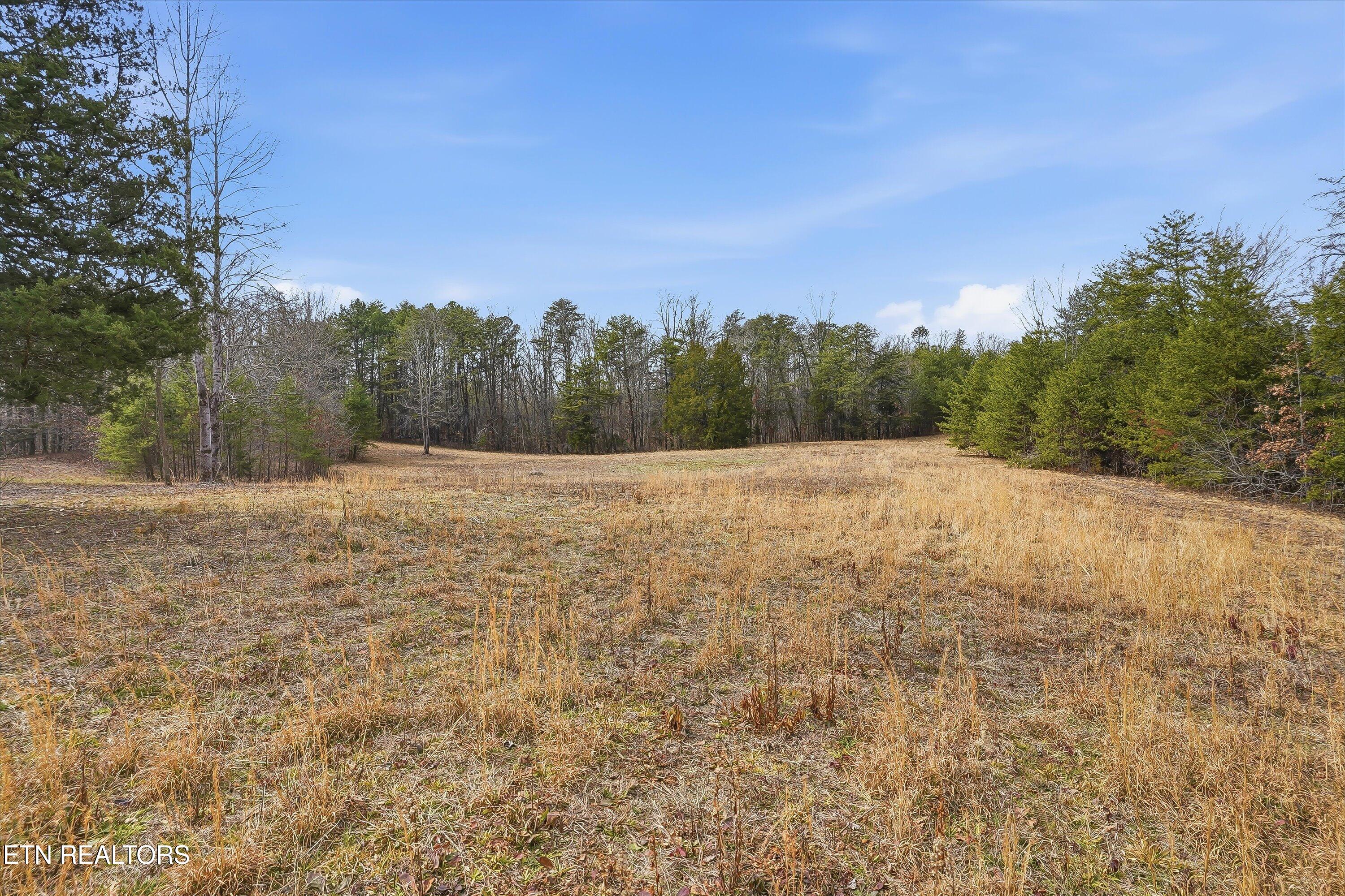 1518 Tom McCall Road Maryville, TN 37801 - Photo 15 of 21 15-1518 Tom McCall Rd-15