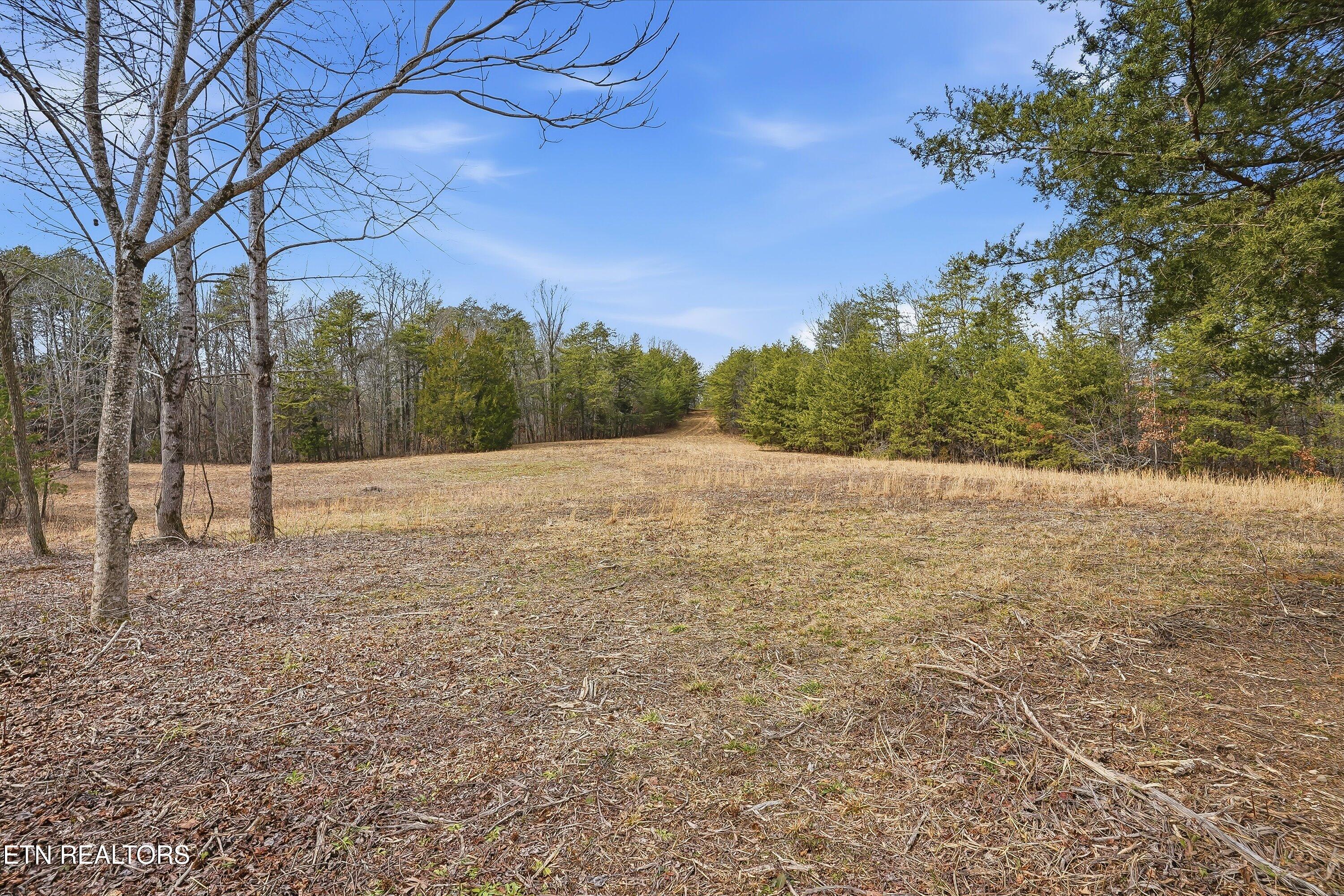 1518 Tom McCall Road Maryville, TN 37801 - Photo 16 of 21 16-1518 Tom McCall Rd-16