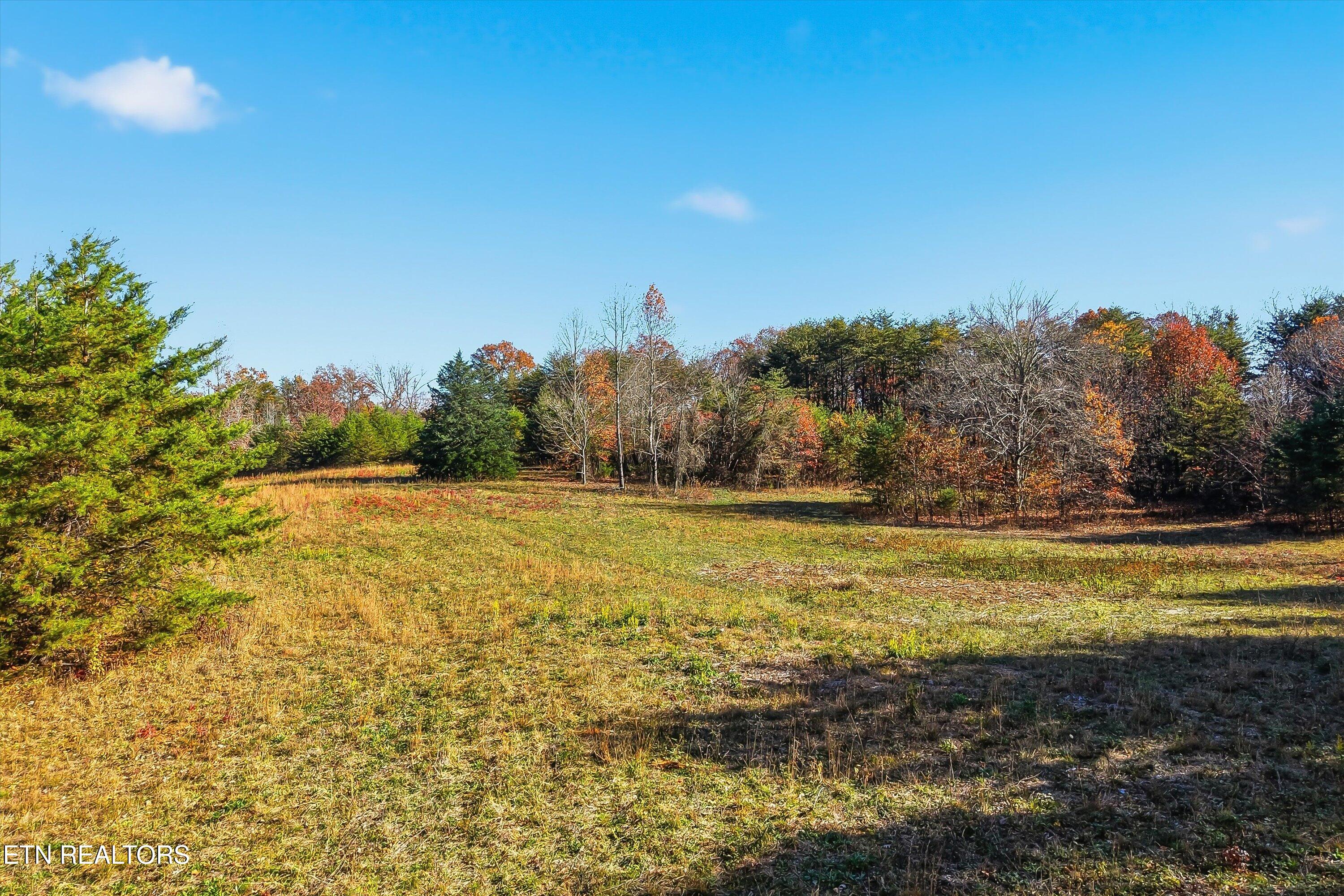 1518 Tom McCall Road Maryville, TN 37801 - Photo 17 of 21 17-1518 Tom McCall Rd-17