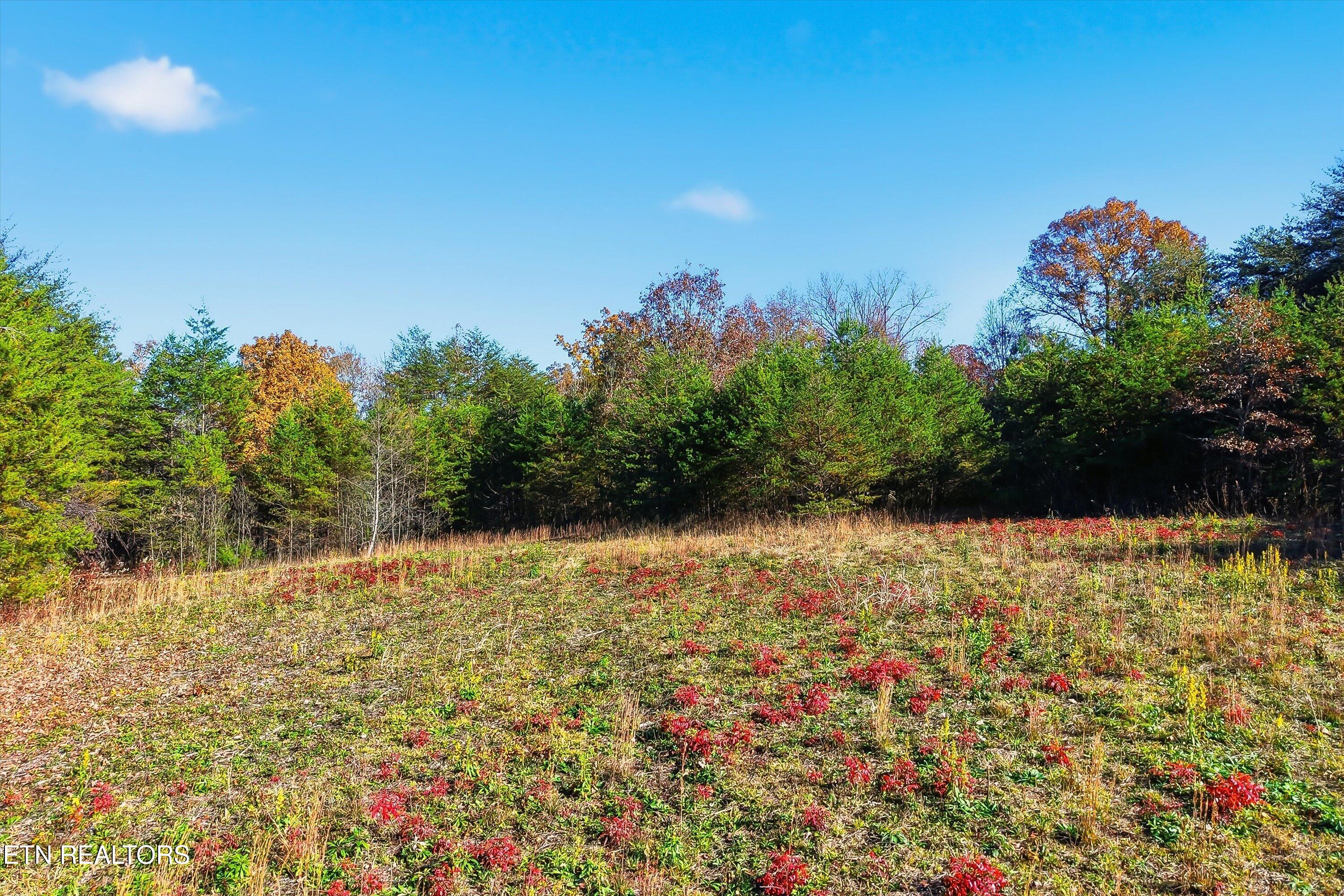 1518 Tom McCall Road Maryville, TN 37801 - Photo 18 of 21 18-1518 Tom McCall Rd-18