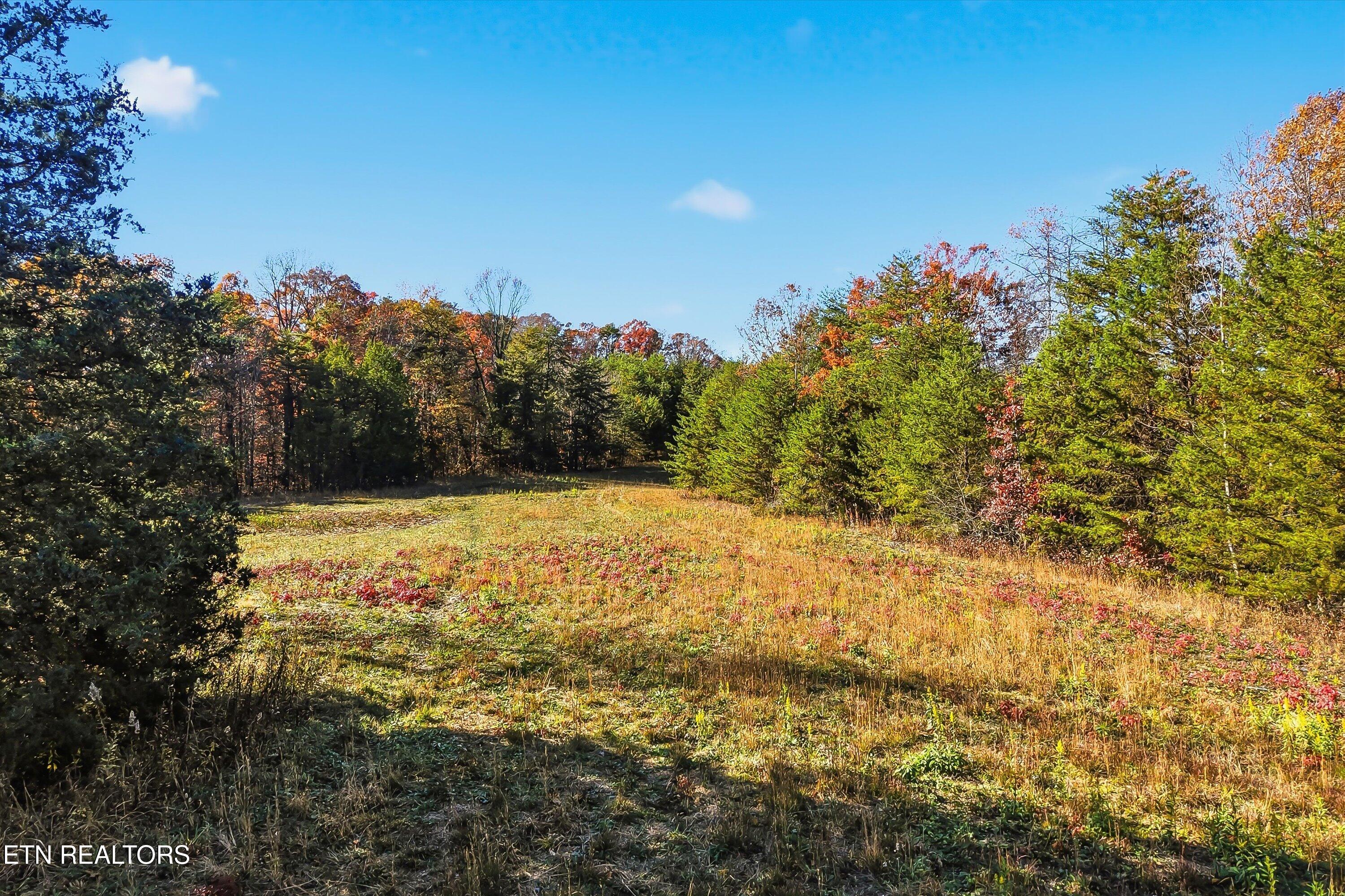 1518 Tom McCall Road Maryville, TN 37801 - Photo 19 of 21 19-1518 Tom McCall Rd-19