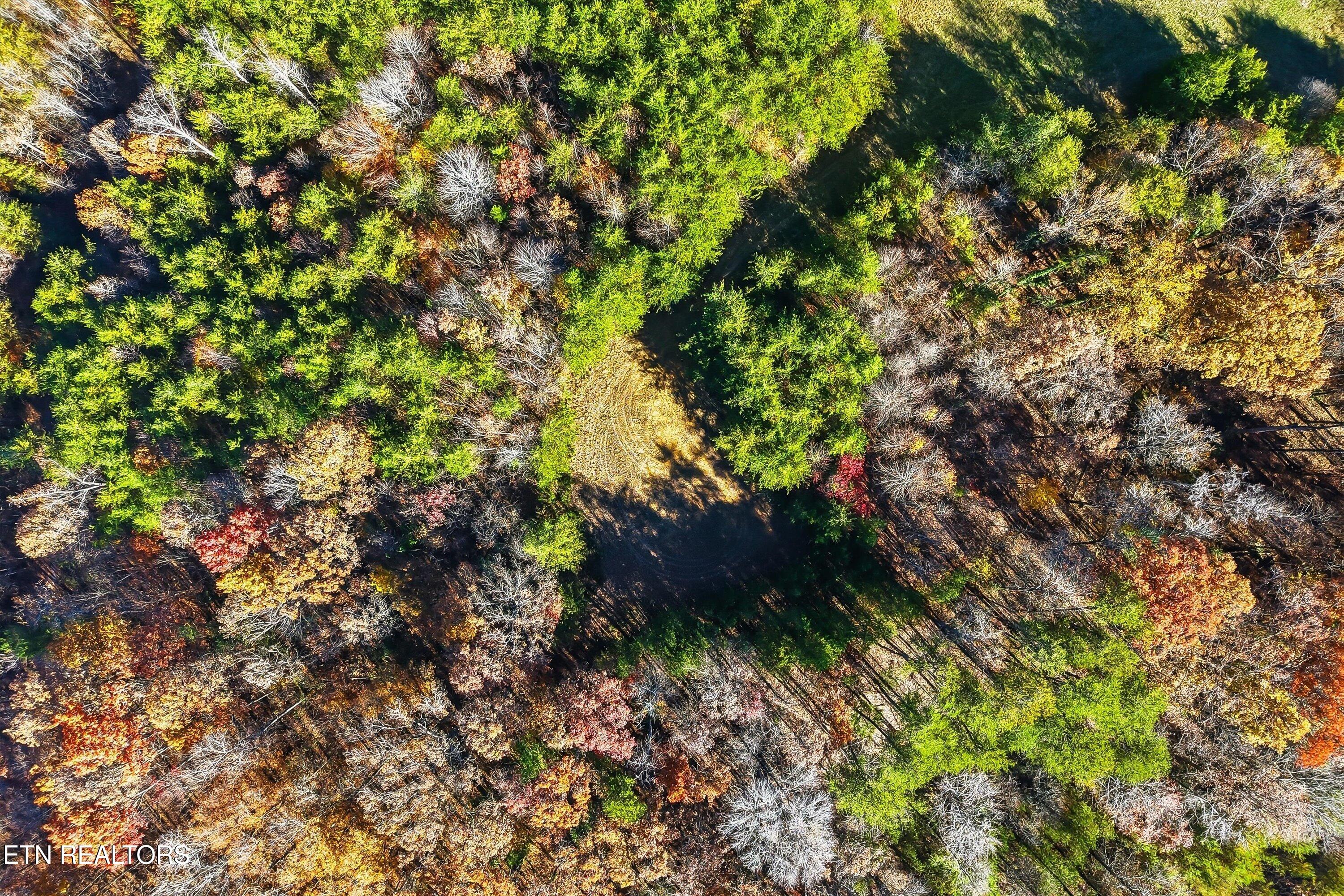 1518 Tom McCall Road Maryville, TN 37801 - Photo 20 of 21 20-1518 Tom McCall Rd-20