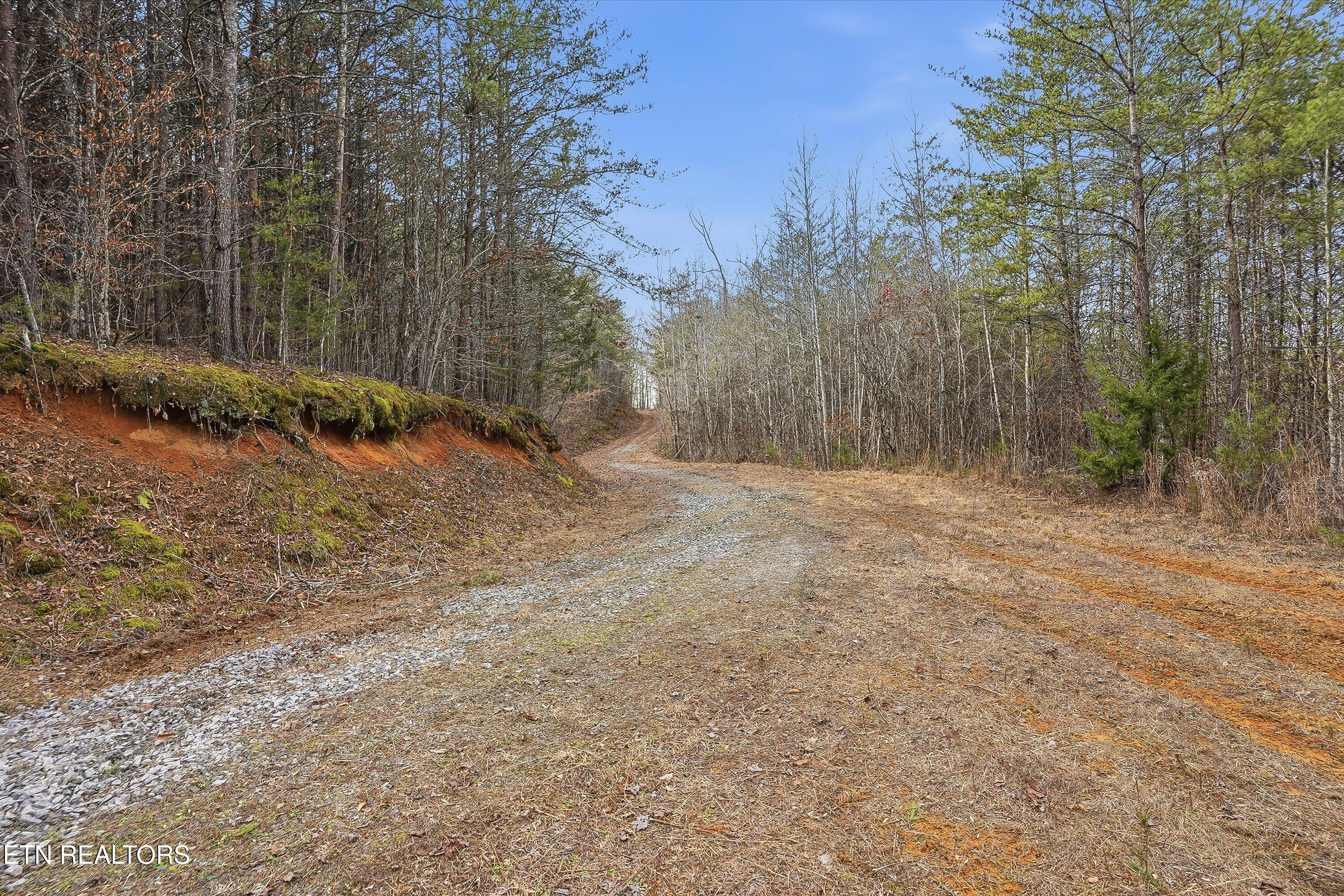 1518 Tom McCall Road Maryville, TN 37801 - Photo 4 of 21 04-1518 Tom McCall Rd-4