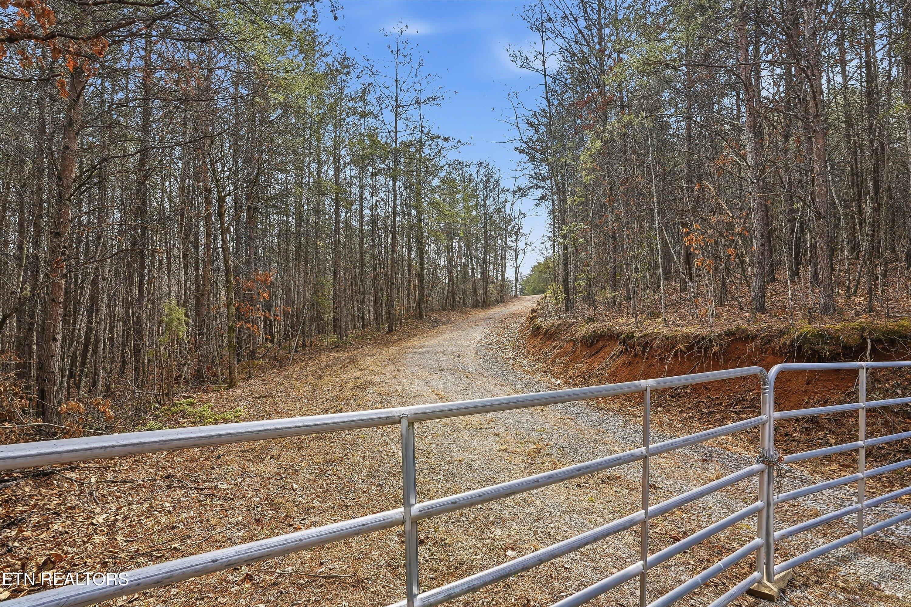 1518 Tom McCall Road Maryville, TN 37801 - Photo 6 of 21 06-1518 Tom McCall Rd-6