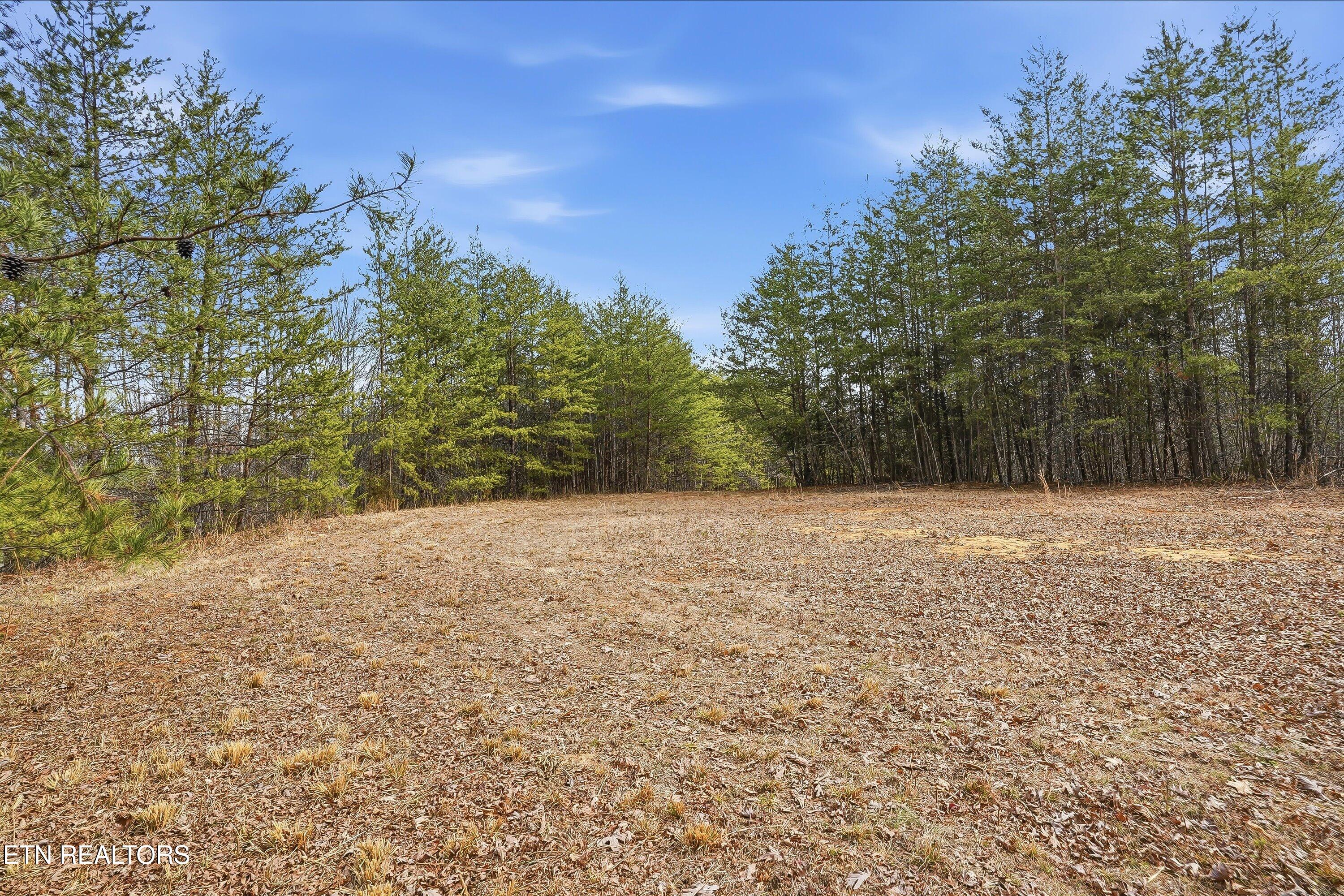 1518 Tom McCall Road Maryville, TN 37801 - Photo 7 of 21 07-1518 Tom McCall Rd-7