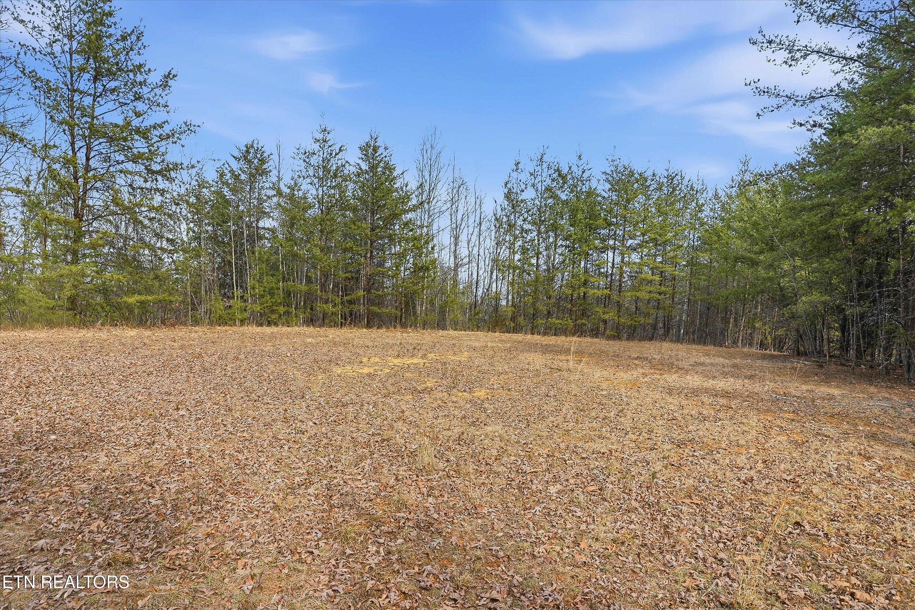 1518 Tom McCall Road Maryville, TN 37801 - Photo 8 of 21 08-1518 Tom McCall Rd-8