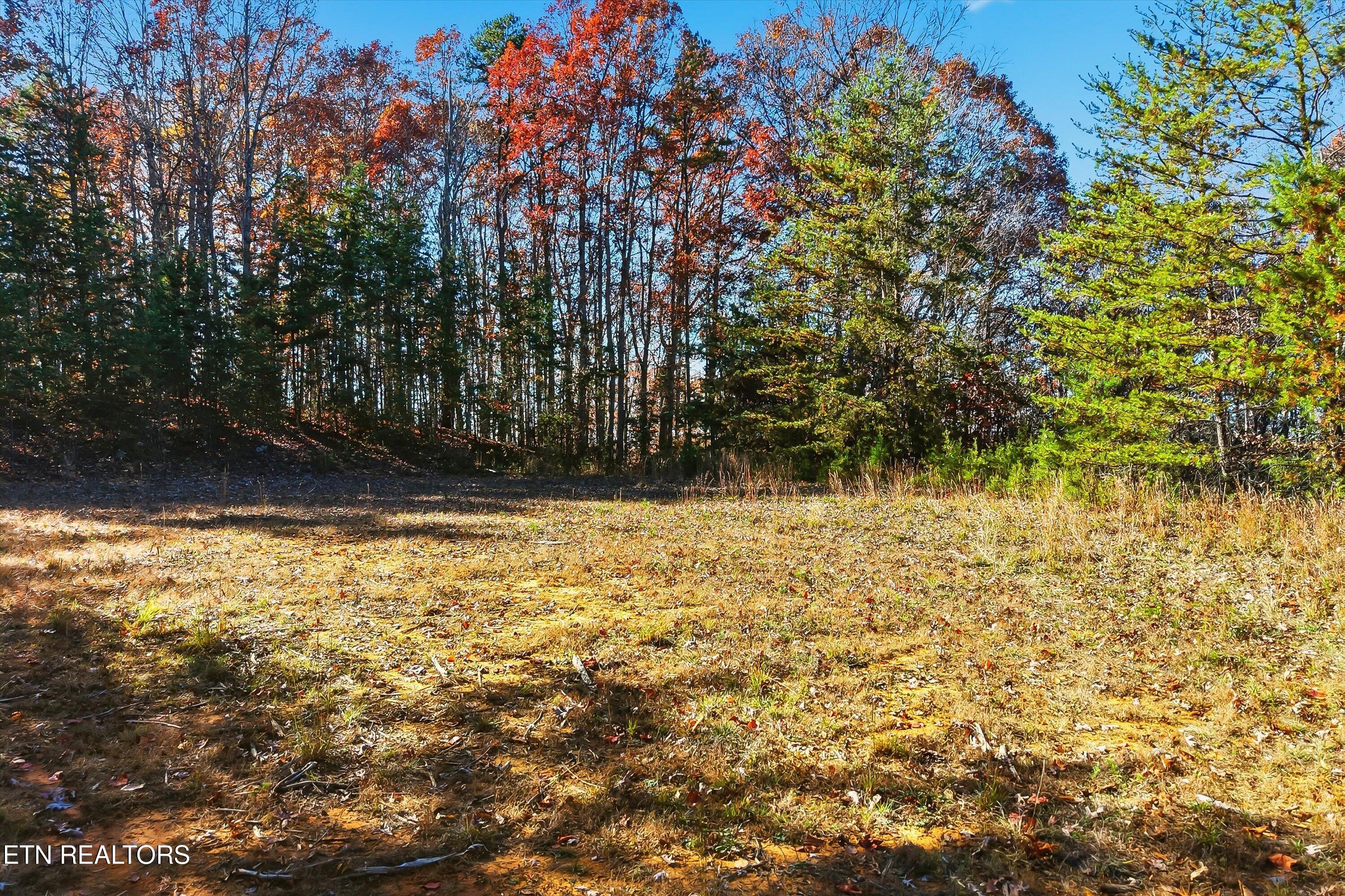 1518 Tom McCall Road Maryville, TN 37801 - Photo 9 of 21 09-1518 Tom McCall Rd-9