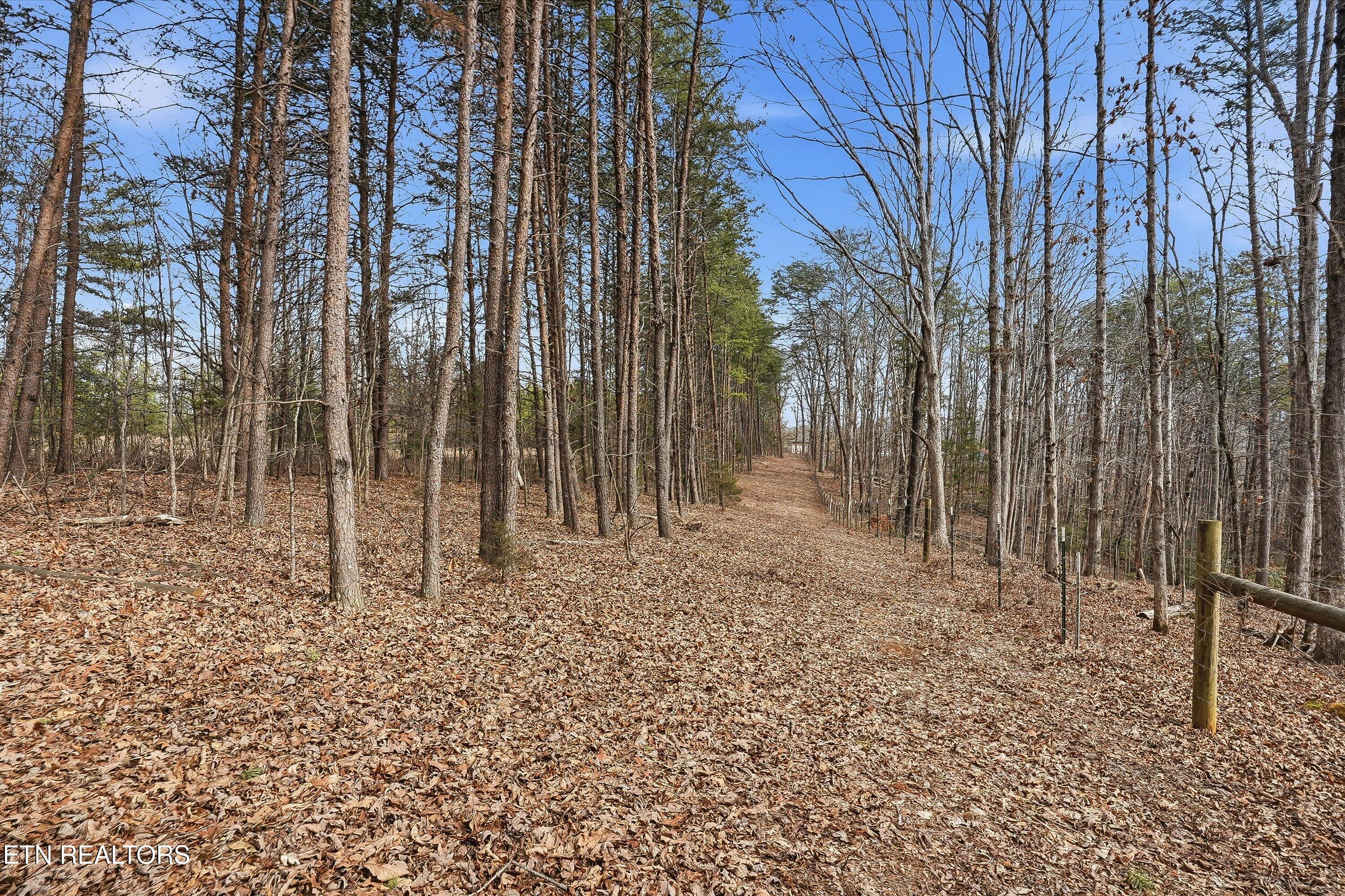 1518 Tom McCall Road Maryville, TN 37801 - Photo 10 of 21 10-1518 Tom McCall Rd-10