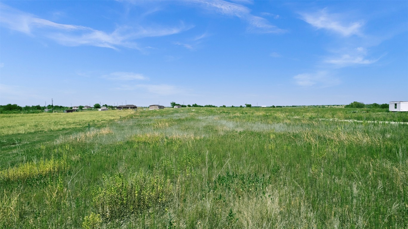 15821 Giese Lane Elgin, TX 78621 - Photo 10 of 19 a view of a green field with two trees in the background