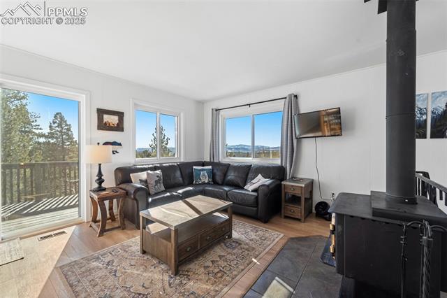 112 Needle Creek Road Divide, CO 80814 - Photo 8 of 27 Gallery Image 8