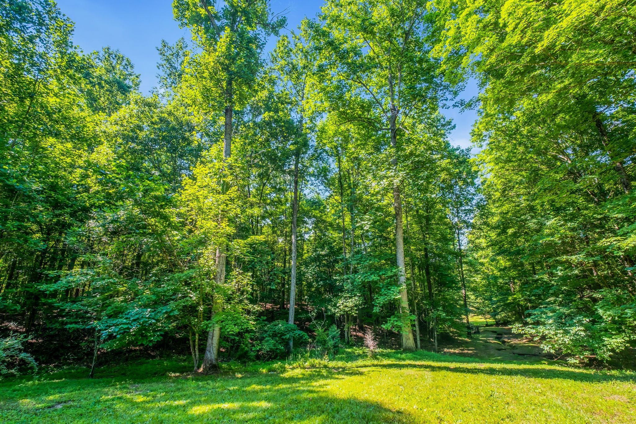 7927 Springer Orchard Road Lyles, TN 37098 - Photo 16 of 44 Gallery Image 16