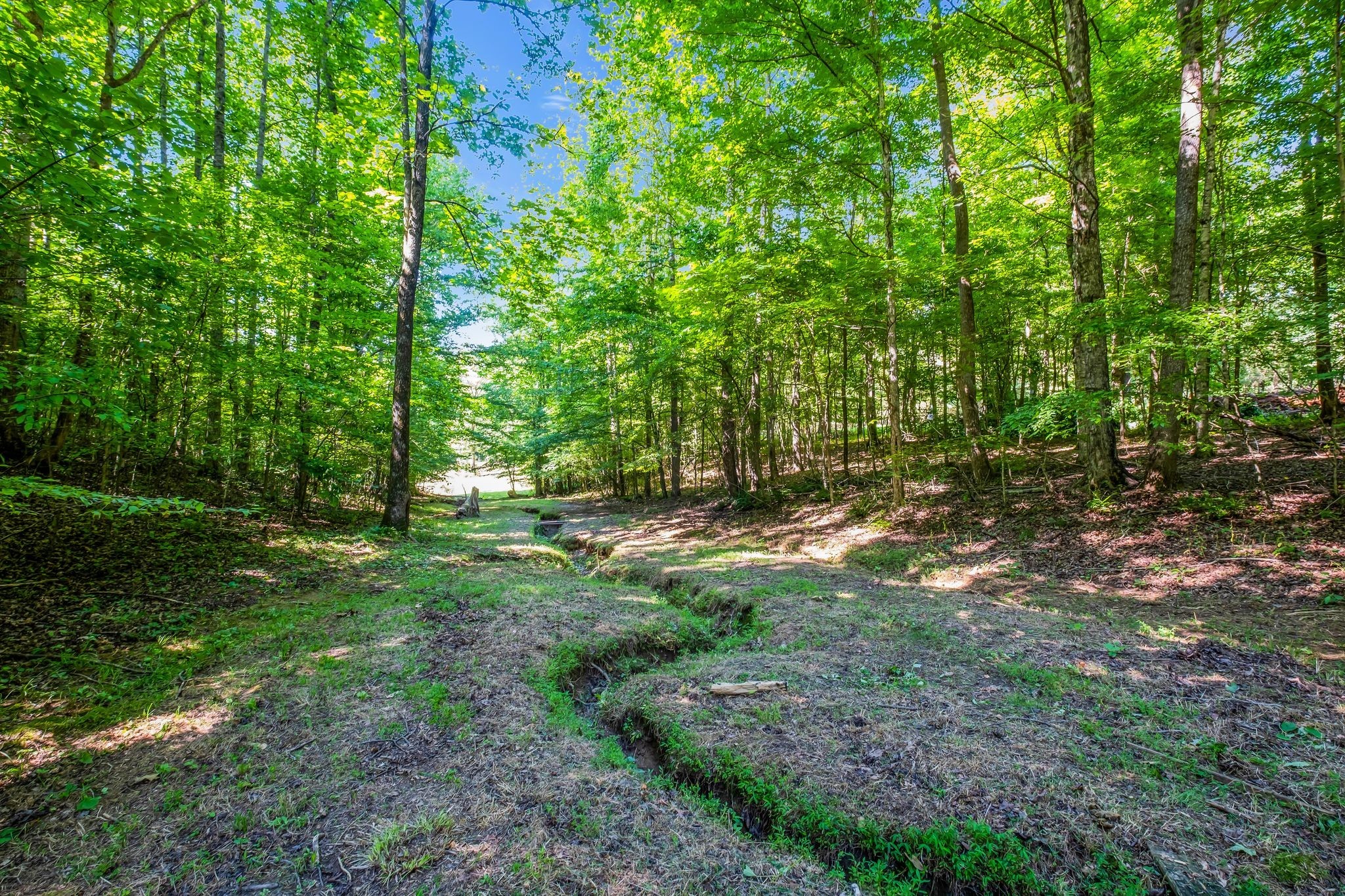 7927 Springer Orchard Road Lyles, TN 37098 - Photo 17 of 44 Gallery Image 17