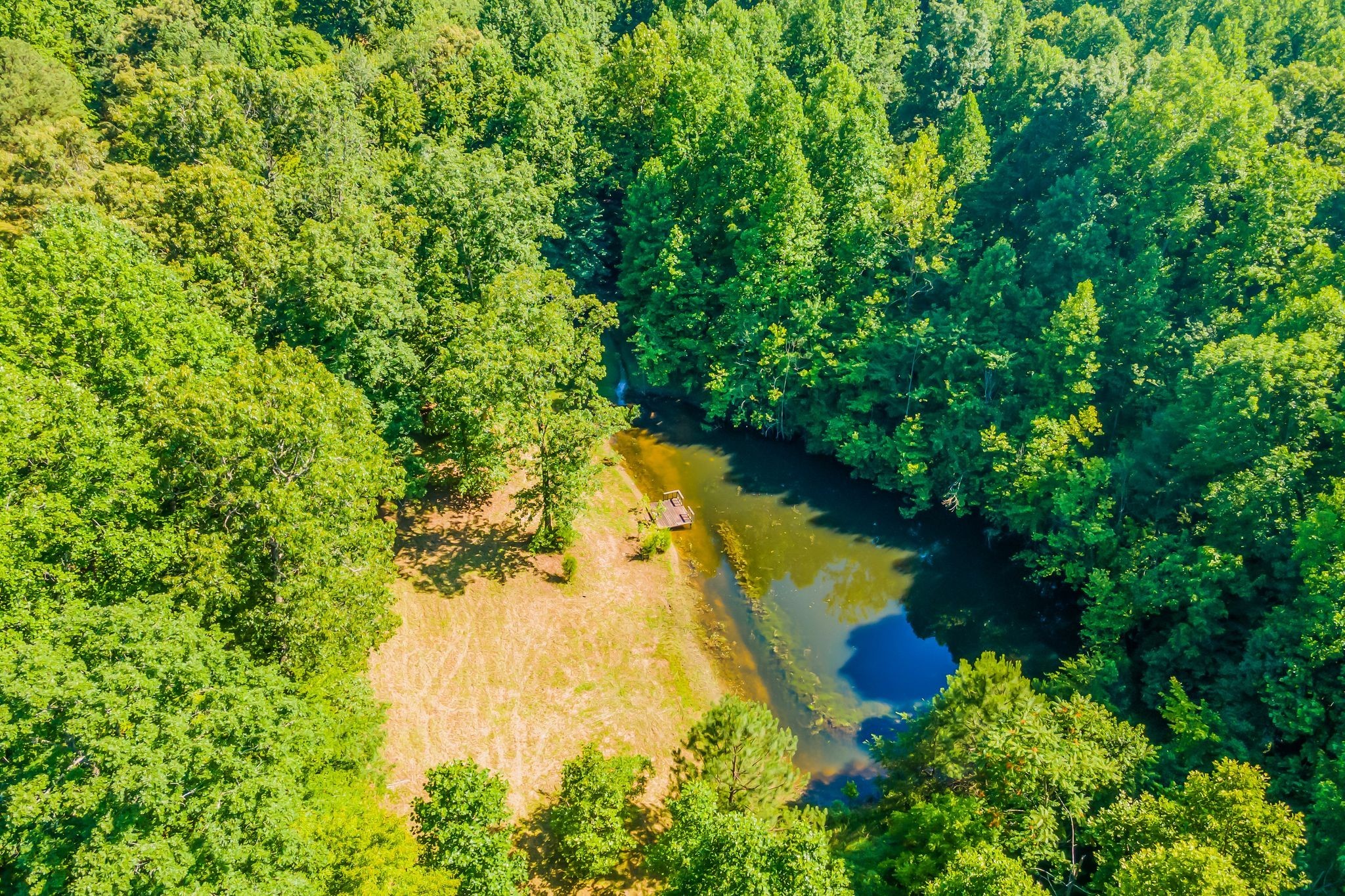 7927 Springer Orchard Road Lyles, TN 37098 - Photo 19 of 44 Gallery Image 19