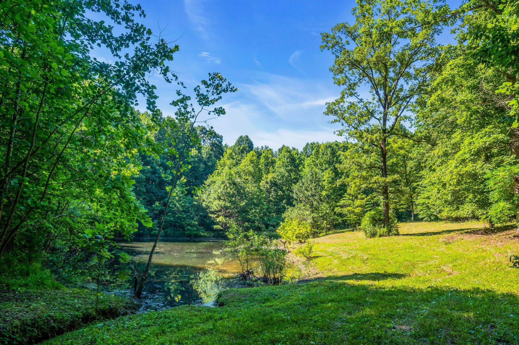 7927 Springer Orchard Road Lyles, TN 37098 - Photo 20 of 44 Gallery Image 20