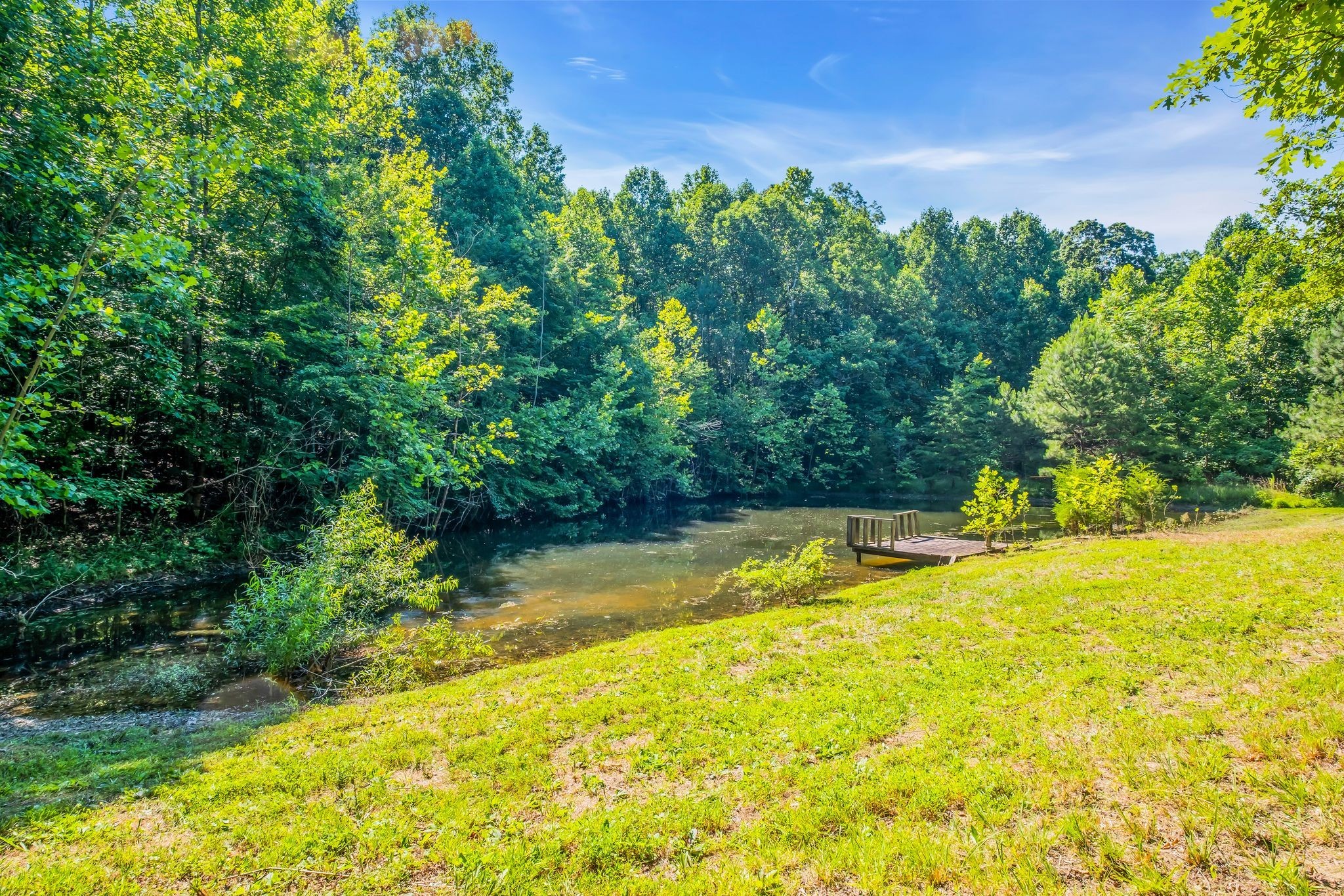 7927 Springer Orchard Road Lyles, TN 37098 - Photo 21 of 44 Gallery Image 21