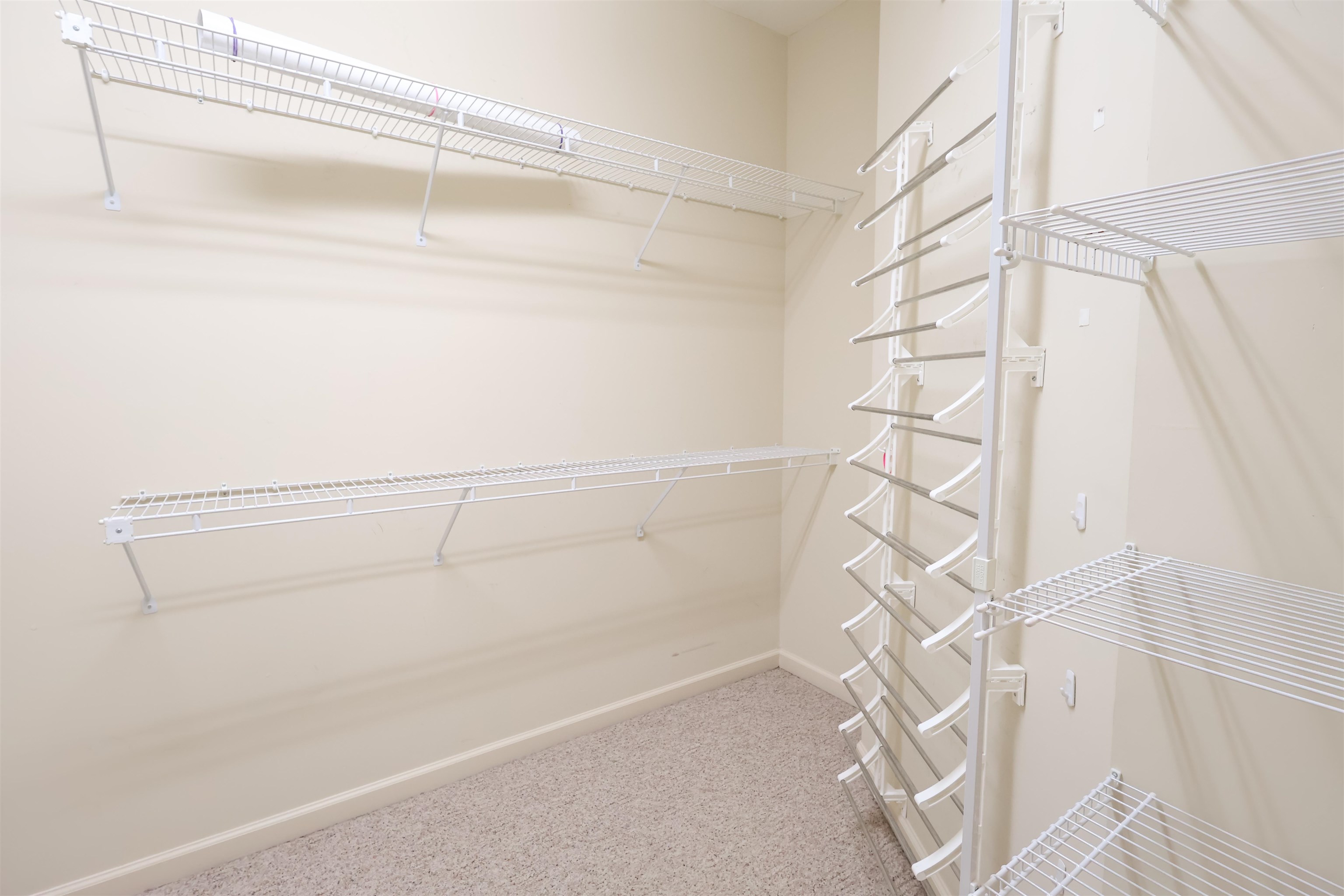 121 Reed Circle Drummonds, TN 38023 - Photo 18 of 38 Walk in closet with carpet floors