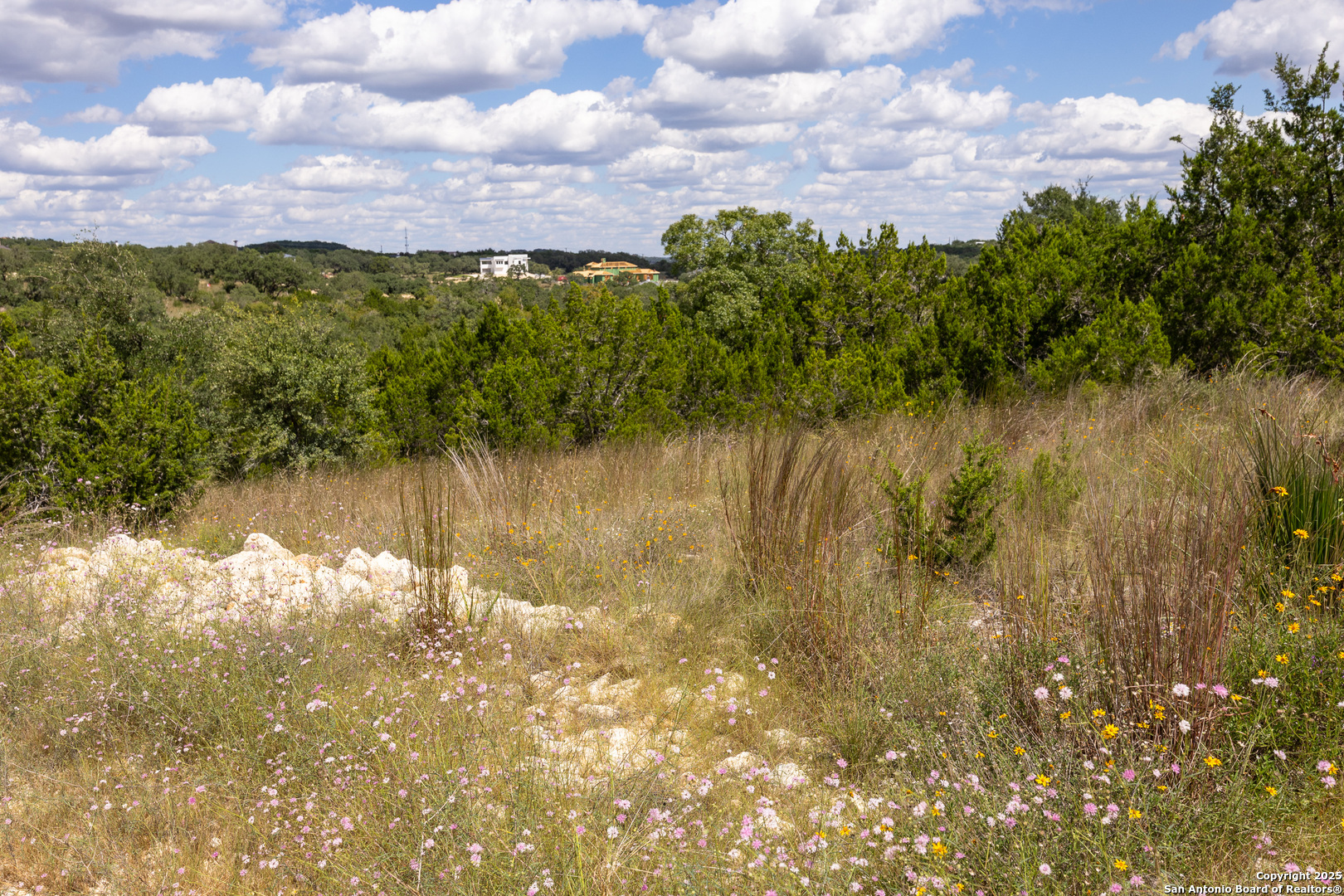 11317 Sloanes Ridge San Antonio, TX 78255 - Photo 12 of 13 a view of lake with houses
