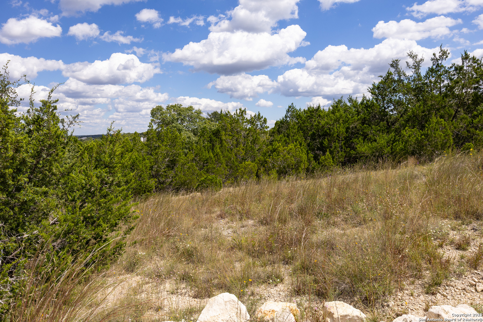 11317 Sloanes Ridge San Antonio, TX 78255 - Photo 13 of 13 a backyard of a house with lots of green space