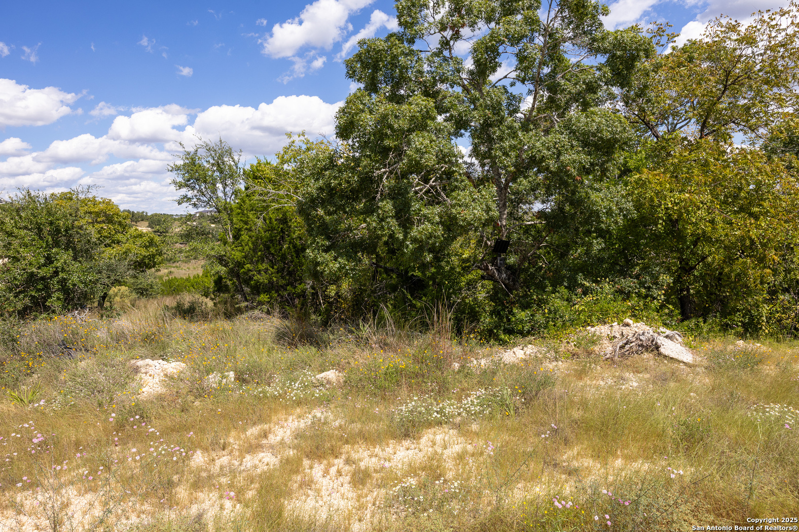 11317 Sloanes Ridge San Antonio, TX 78255 - Photo 5 of 13 a view of swimming pool from a yard