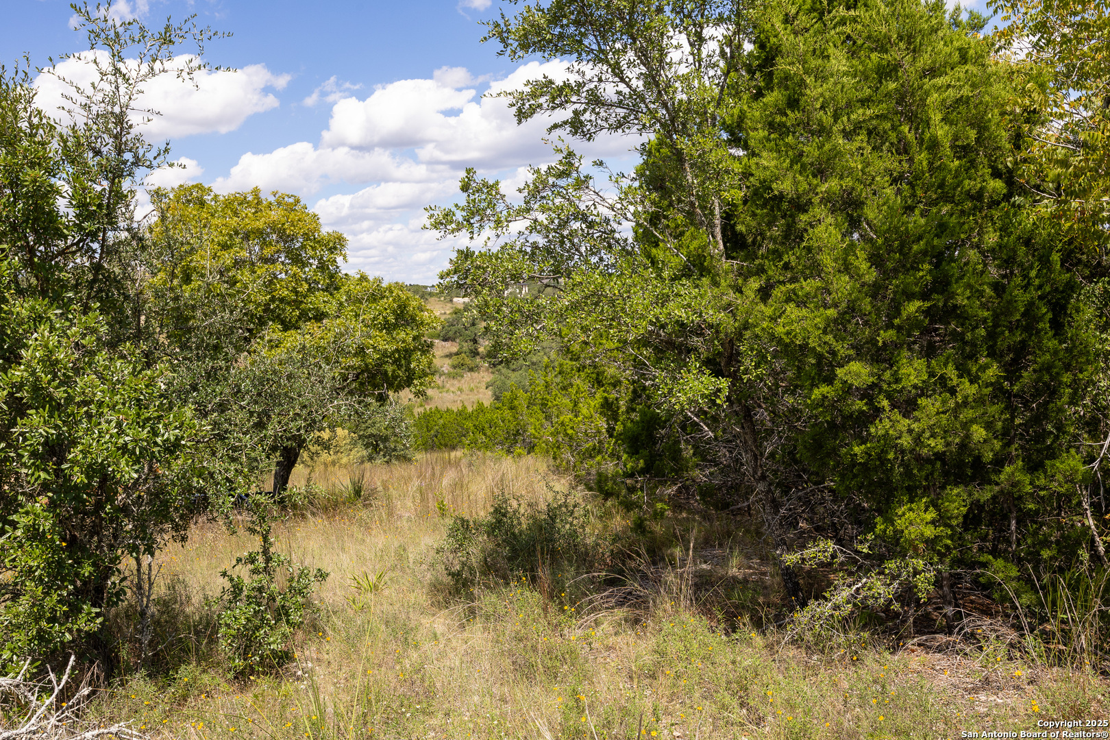 11317 Sloanes Ridge San Antonio, TX 78255 - Photo 7 of 13 a view of a lake