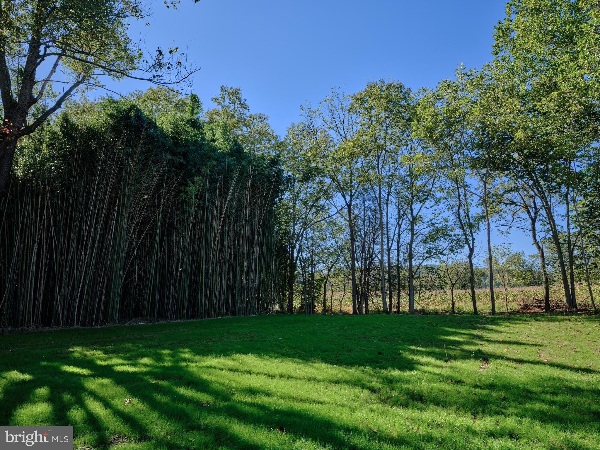 865 Sherers Hill Road Riegelsville, PA 18077 - Photo 6 of 37 a view of a park