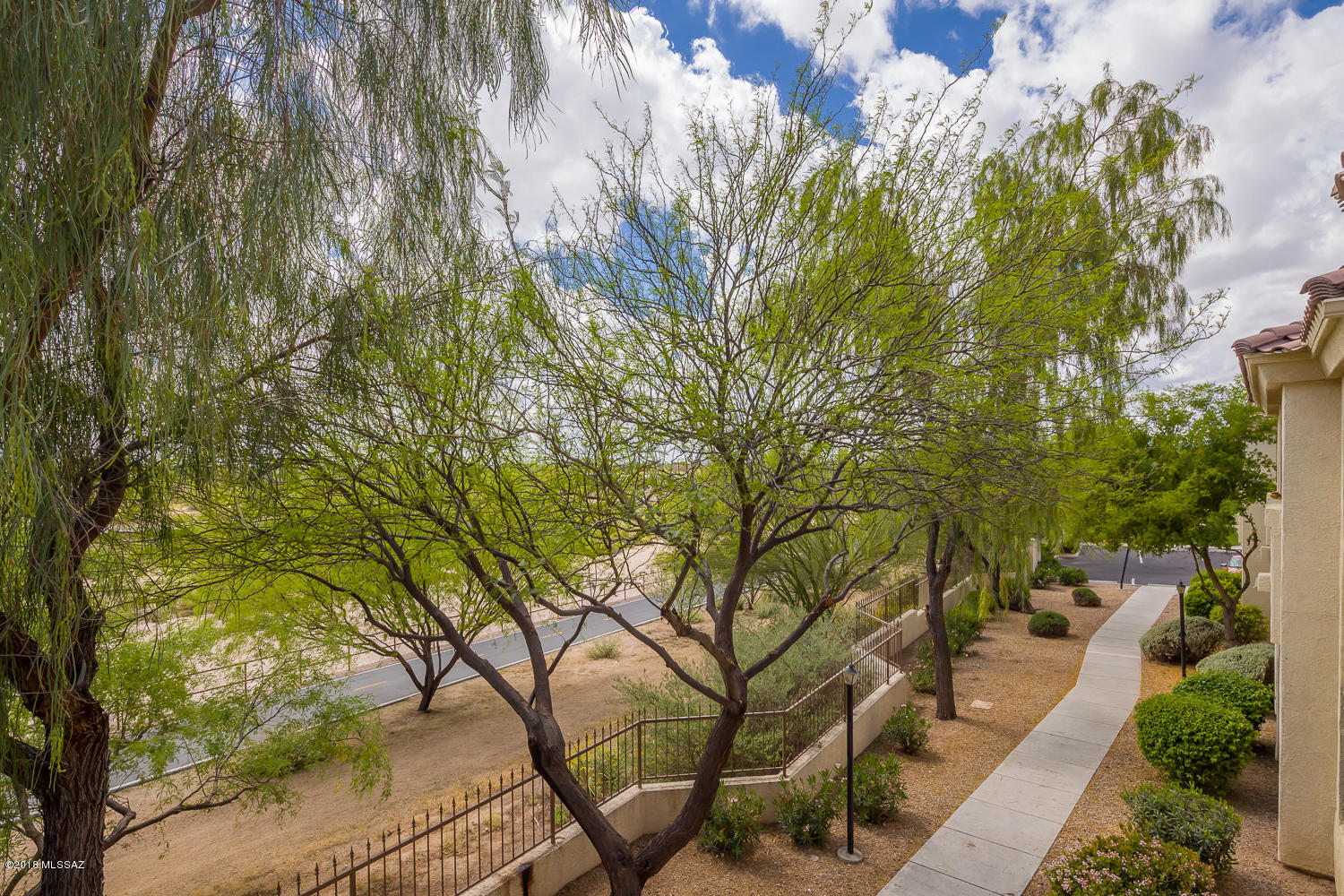 2550 East River Road, Unit 8101 Tucson, AZ 85718 - Photo 21 of 24