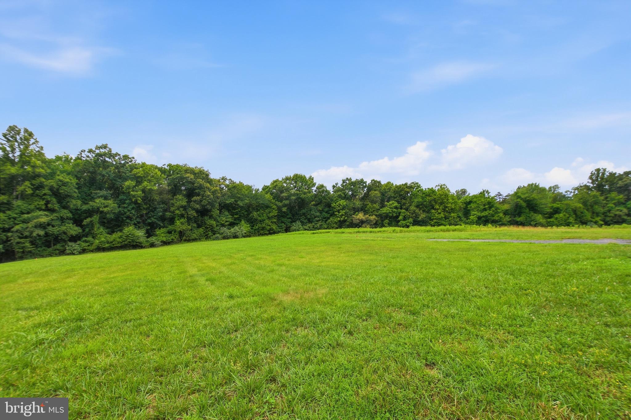 4407 Indian Run Road Amissville, VA 20106 - Photo 11 of 54