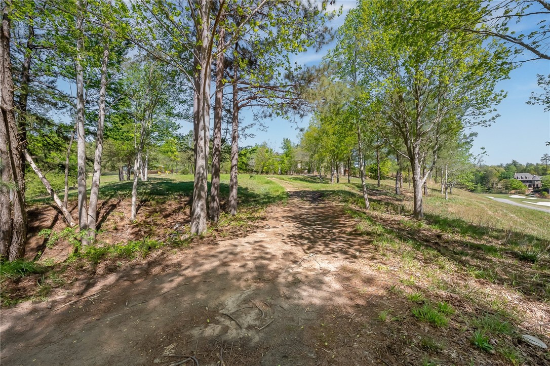 249 Long Cove Court Sunset, SC 29685 - Photo 18 of 21