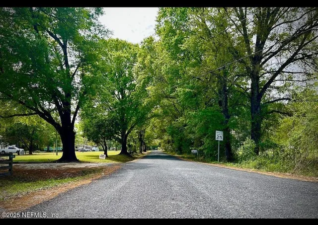 a view of a yard with a tree