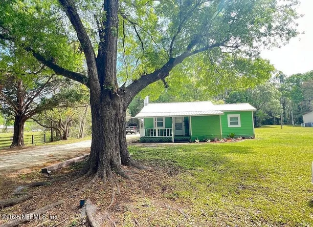 a big tree in middle of the garden