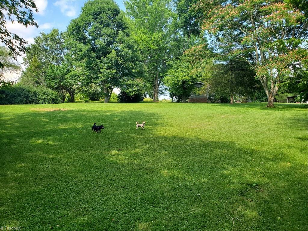 403-405 Double C Road Hays, NC 28635 - Photo 19 of 25 Lots of room for your pets to run and play