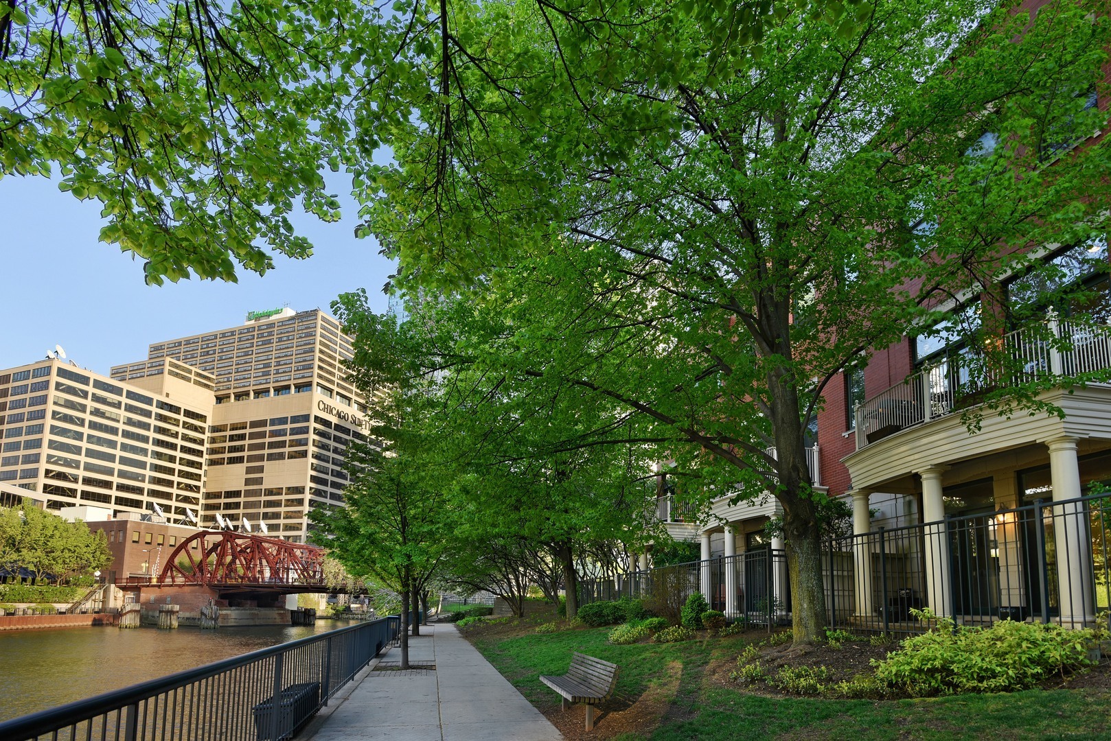 481 North Canal Street Chicago, IL 60654 - Photo 40 of 50 front view of a house with a tree