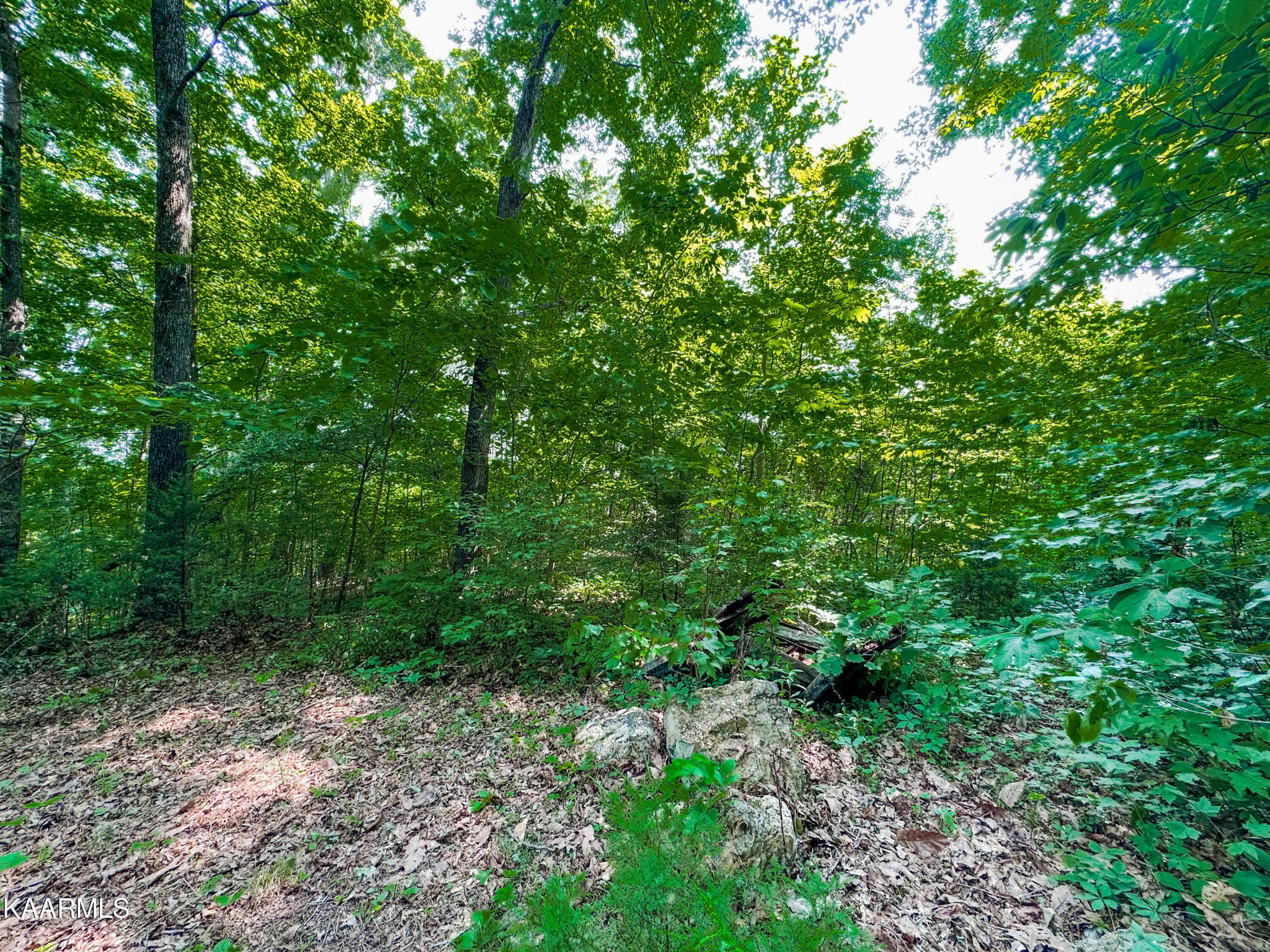 401 Den Lane Heiskell, TN 37754 - Photo 9 of 31