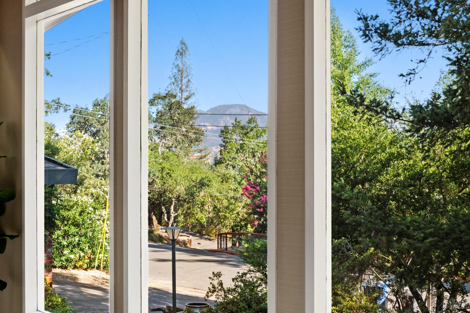 304 High Street Calistoga, CA 94515 - Photo 13 of 53