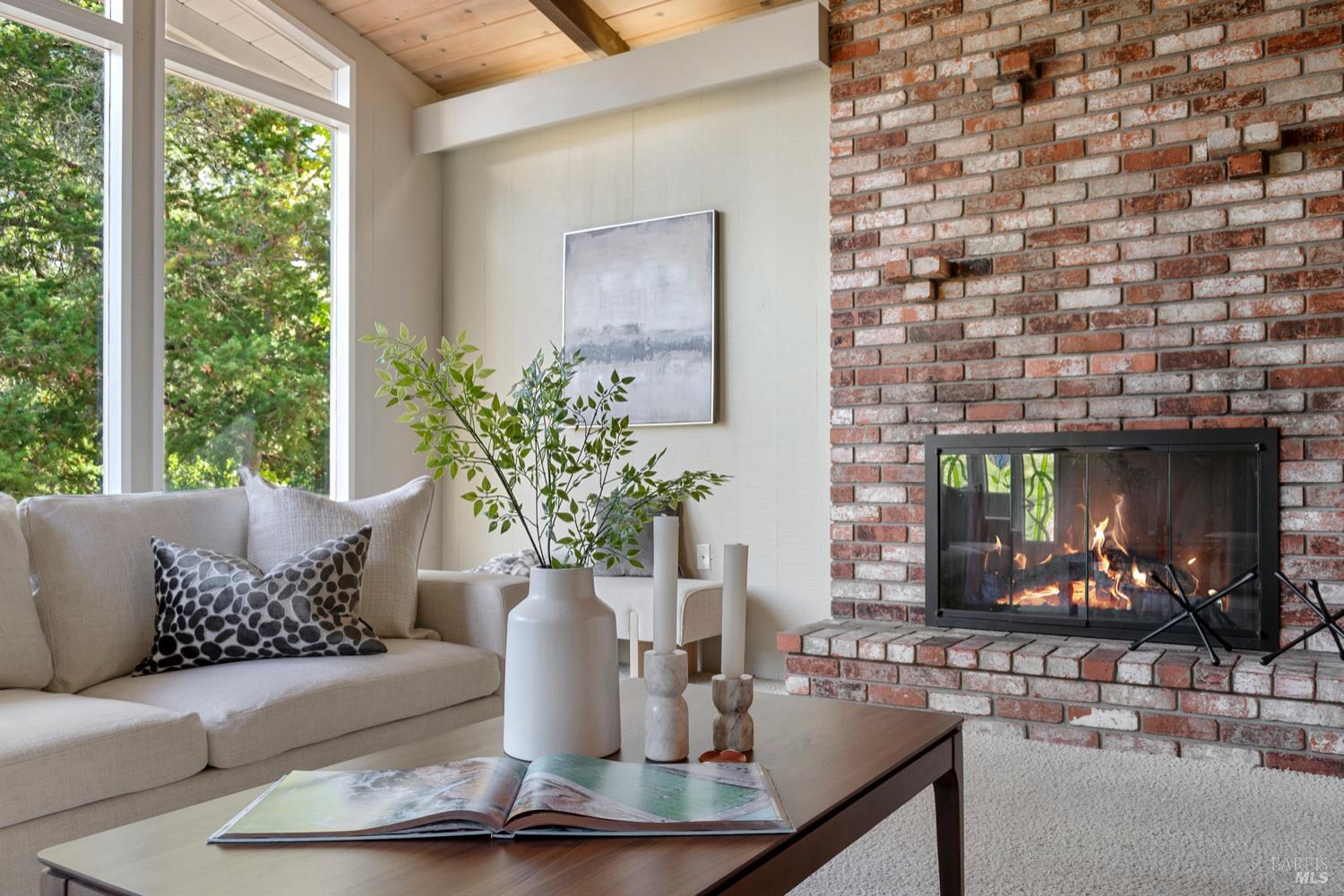 304 High Street Calistoga, CA 94515 - Photo 17 of 53 a living room with furniture and a potted plant