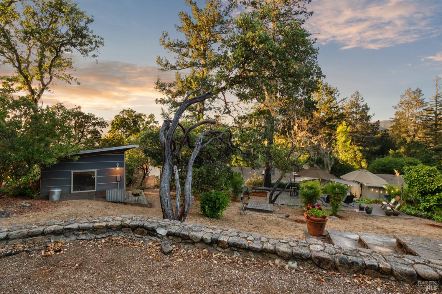 304 High Street Calistoga, CA 94515 - Photo 46 of 53 a backyard of a house with plants and trees