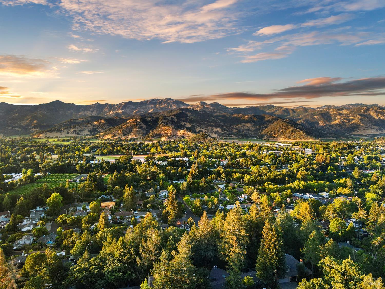 304 High Street Calistoga, CA 94515 - Photo 50 of 53 a view of a city with mountains in the background