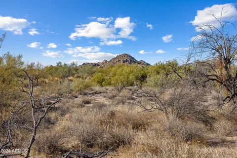 a view of a bunch of trees